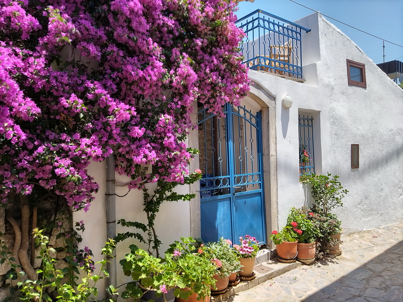 TOP 10 TRADITIONAL CRETAN HOMES TO BUY | Crete Homes