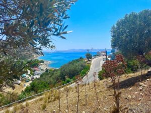 354205696_1625938737817710_7031993600836044687_n