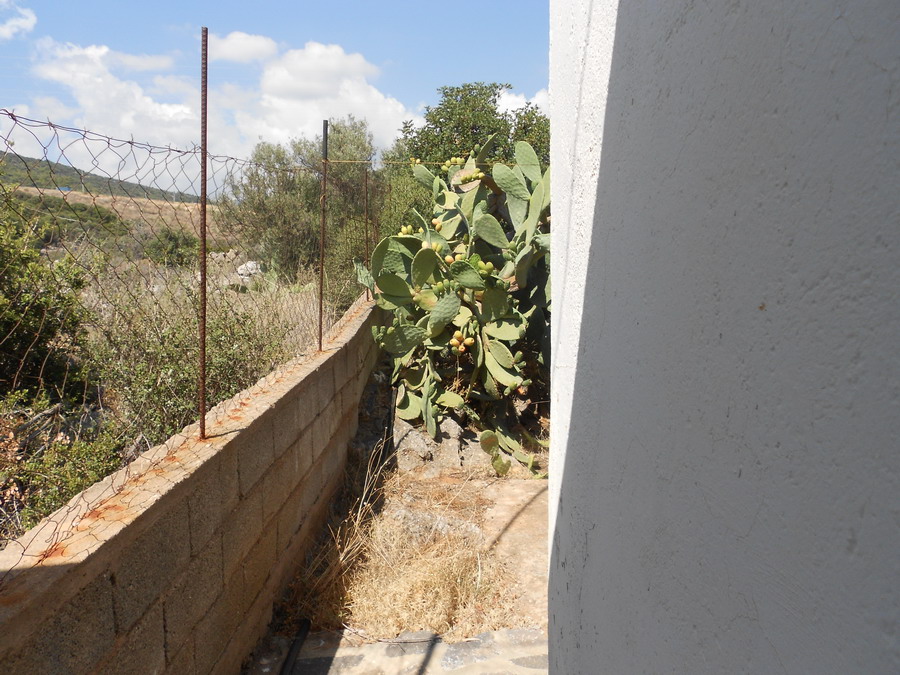 LOVELY COTTAGE WITH SEA VIEWS IN AMMOUDARA FOR SALE Crete Homes