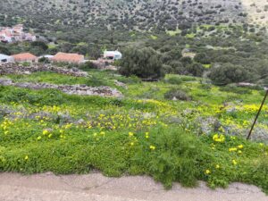 IMG_20250226_124318