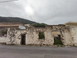 IMG_20250326_151041