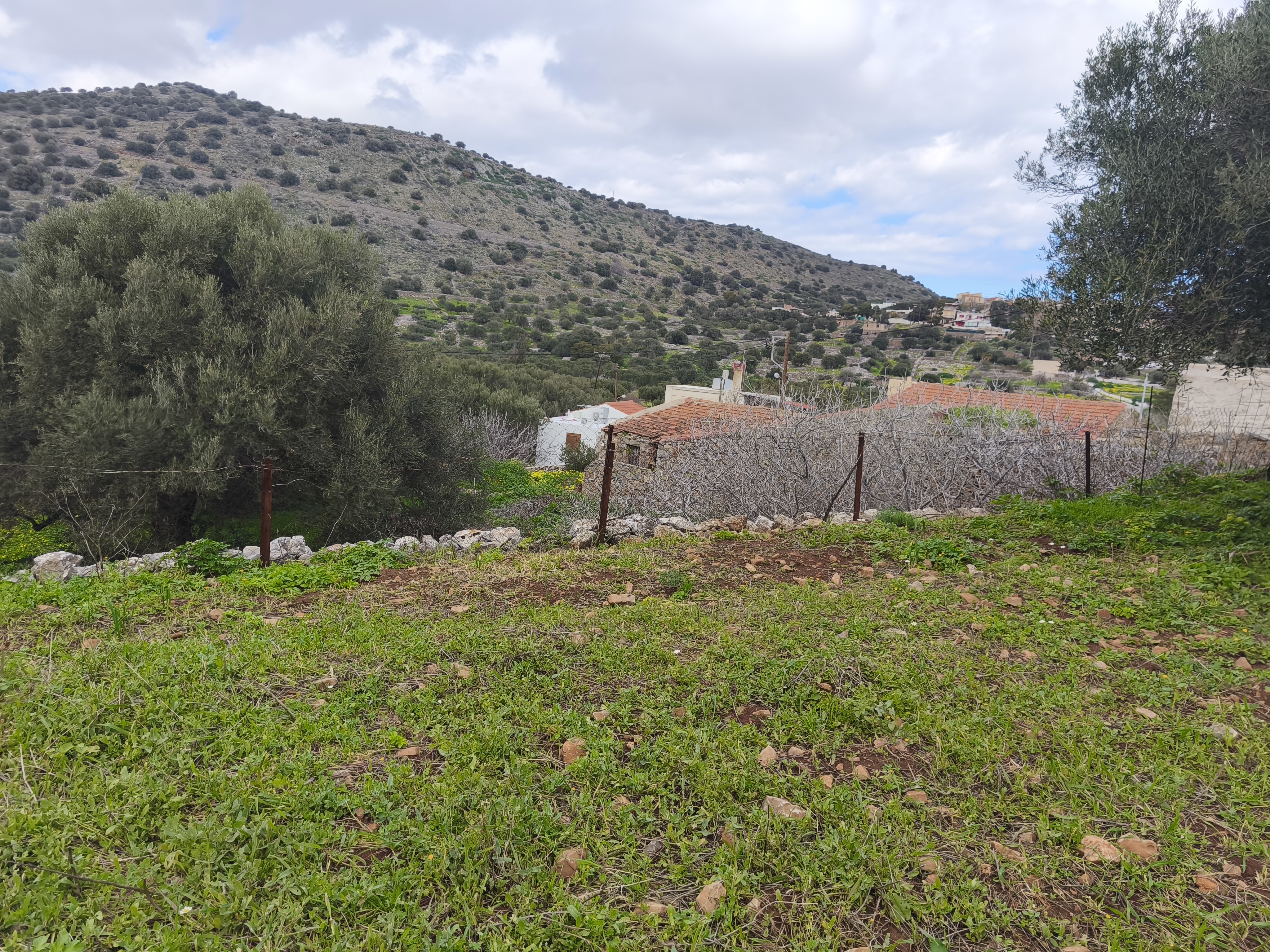 Property 21