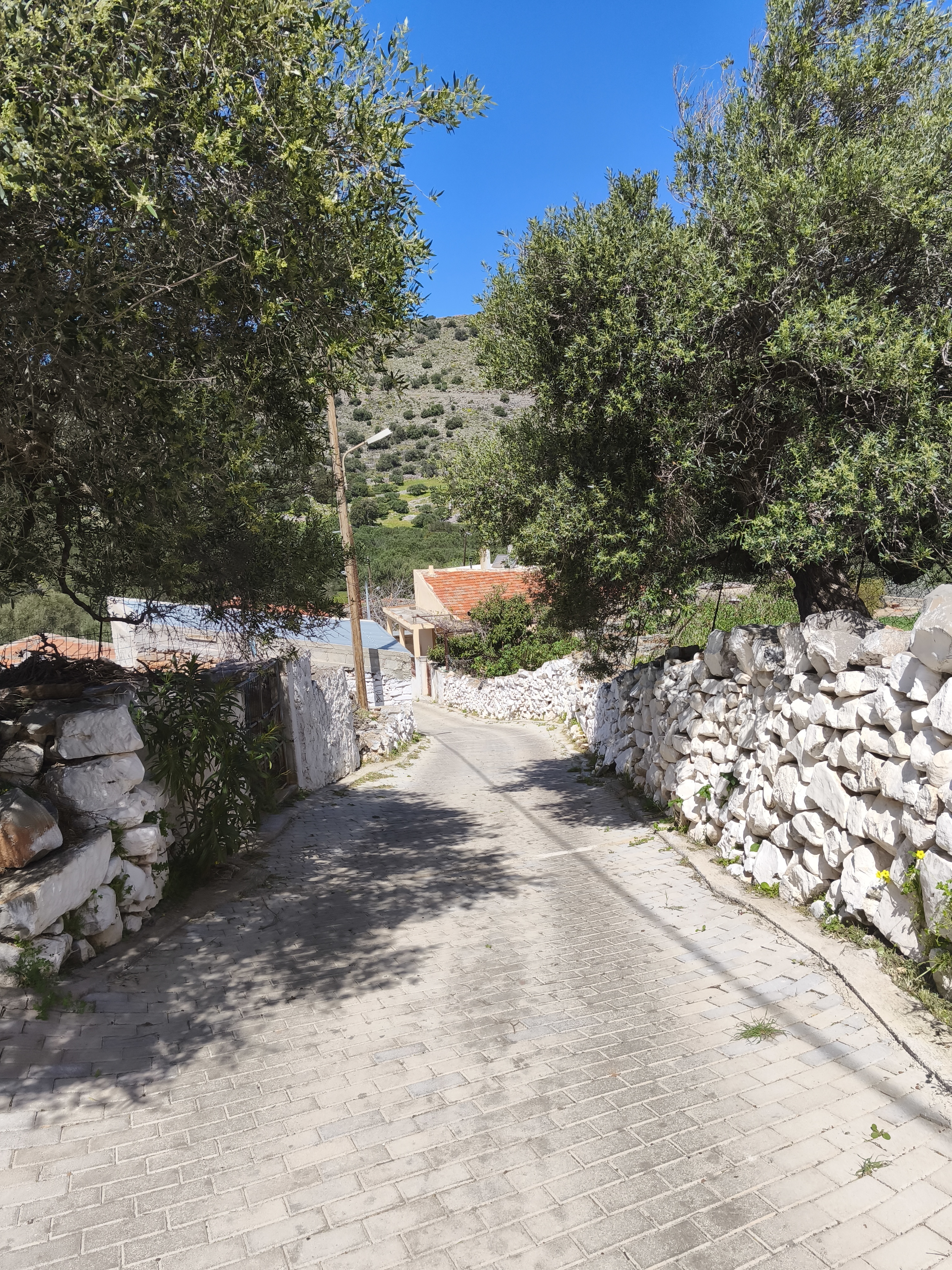 Property 28
