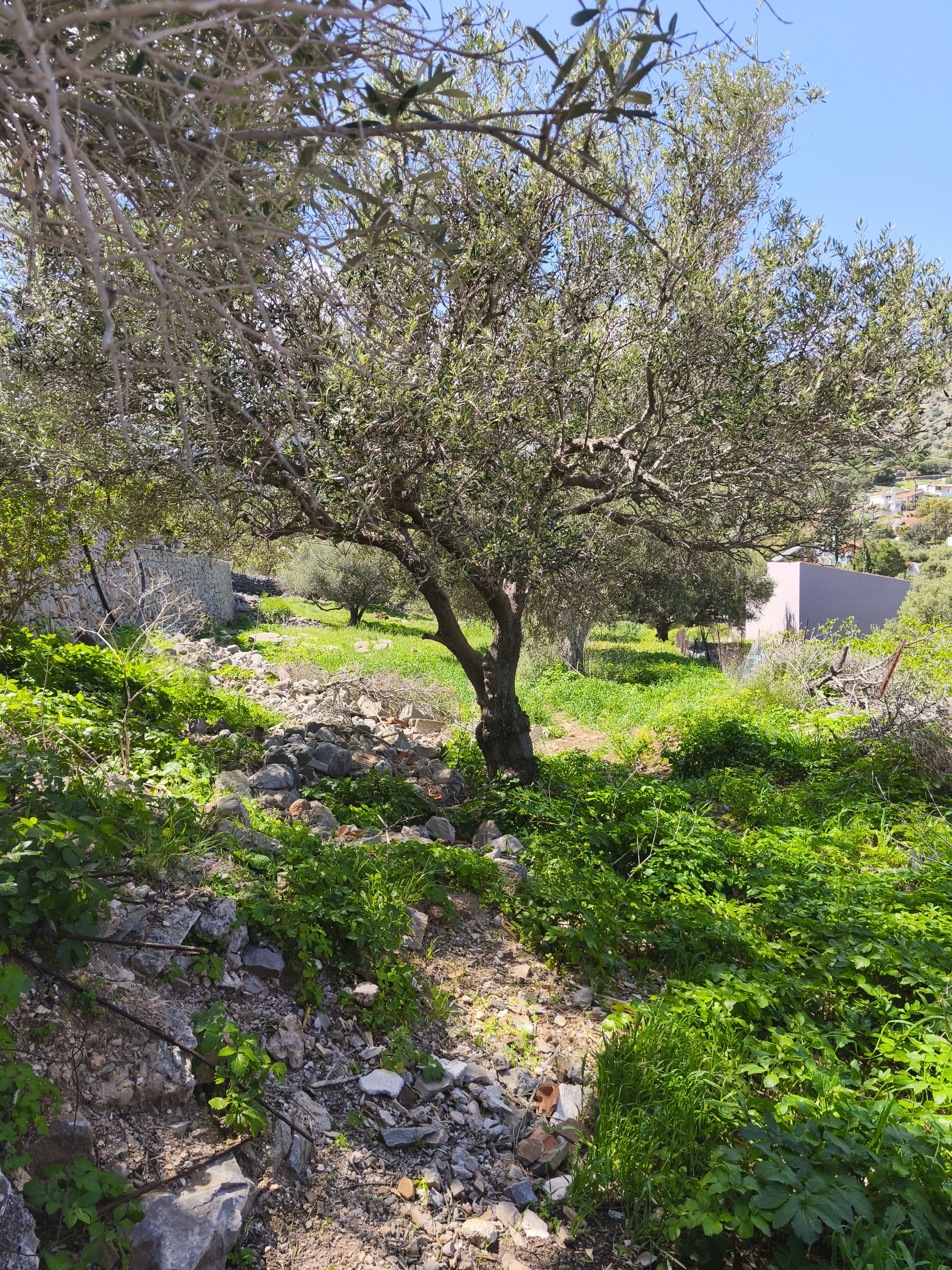Property 25