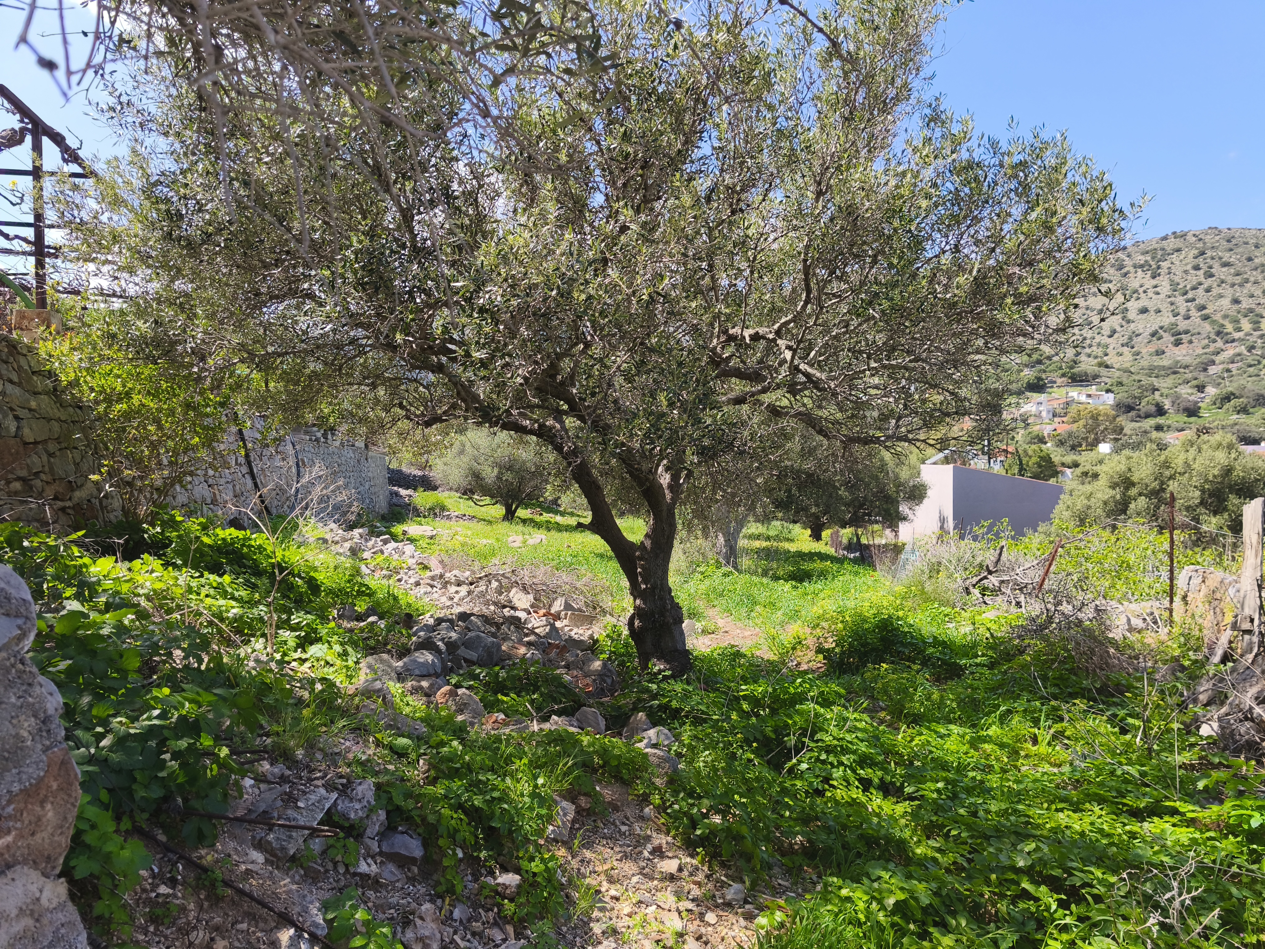 Property 23