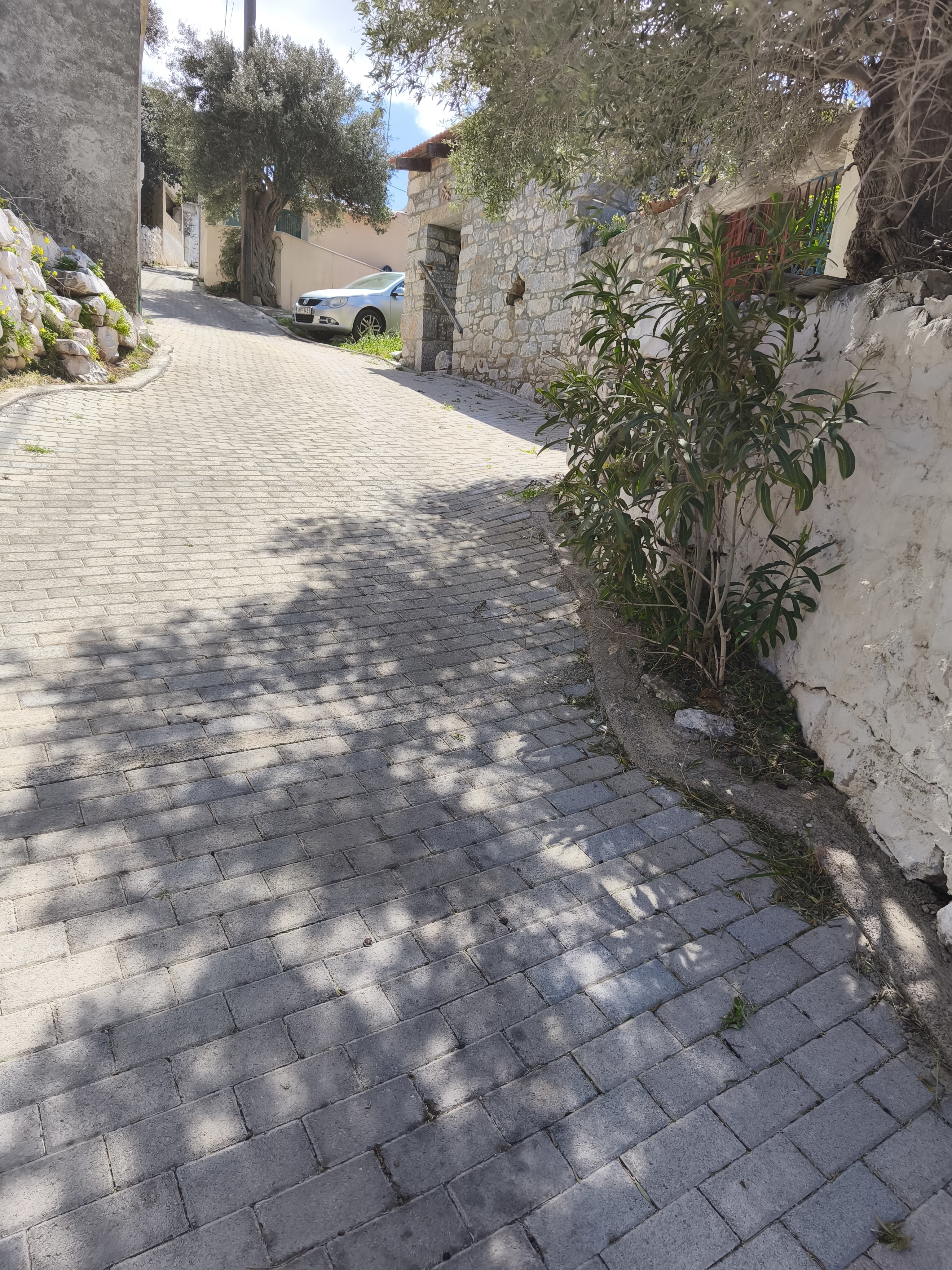 Property 29