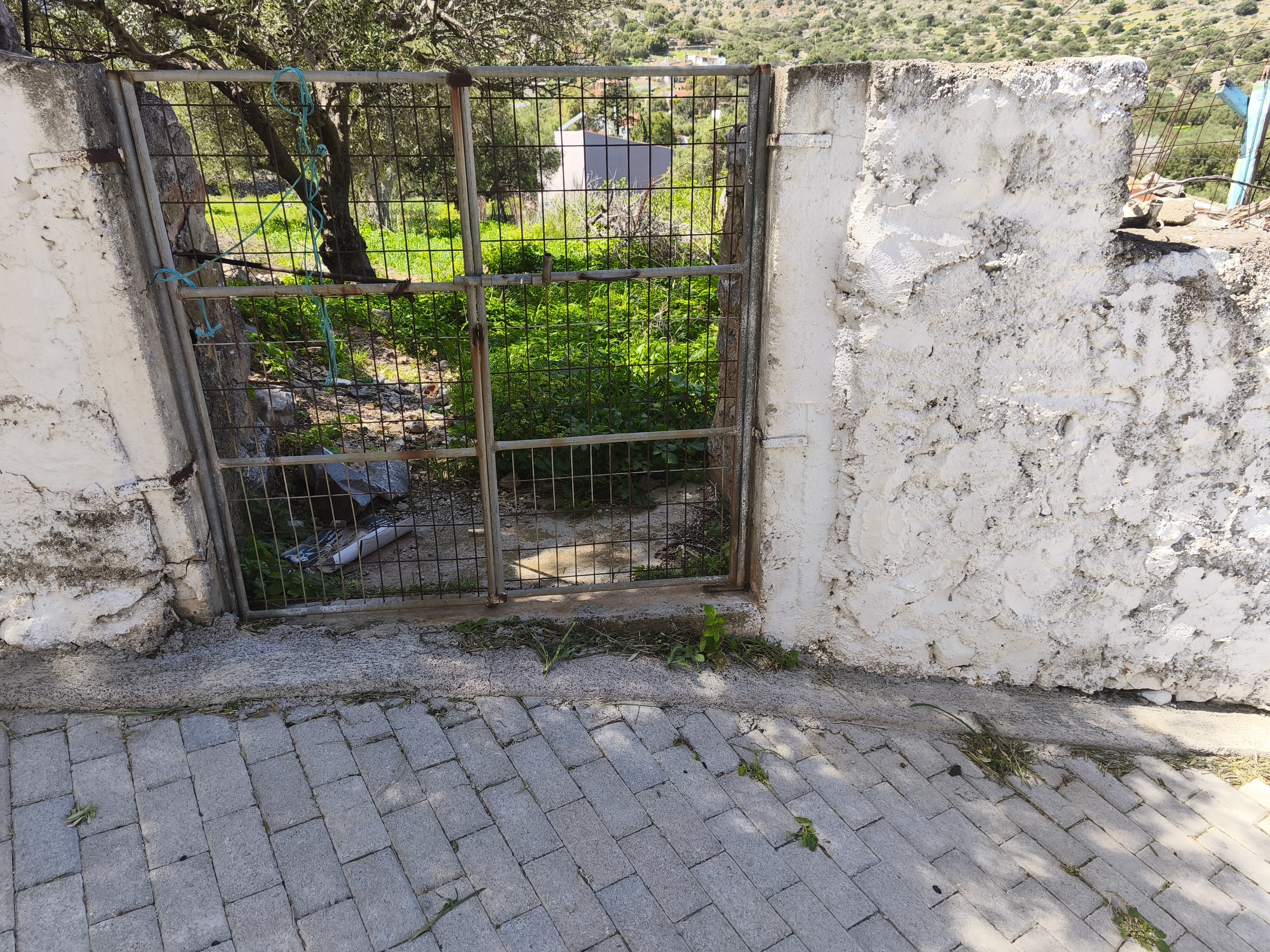 Property 27