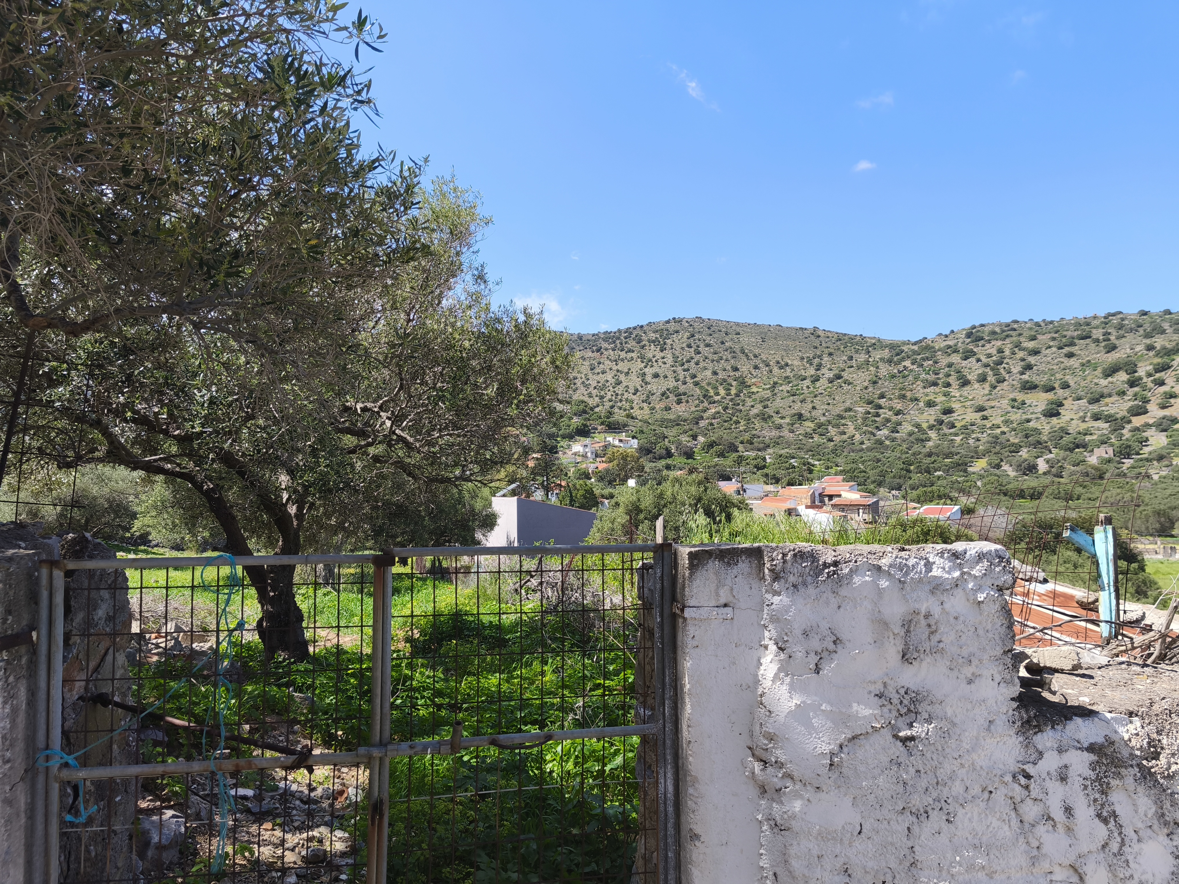 Property 26