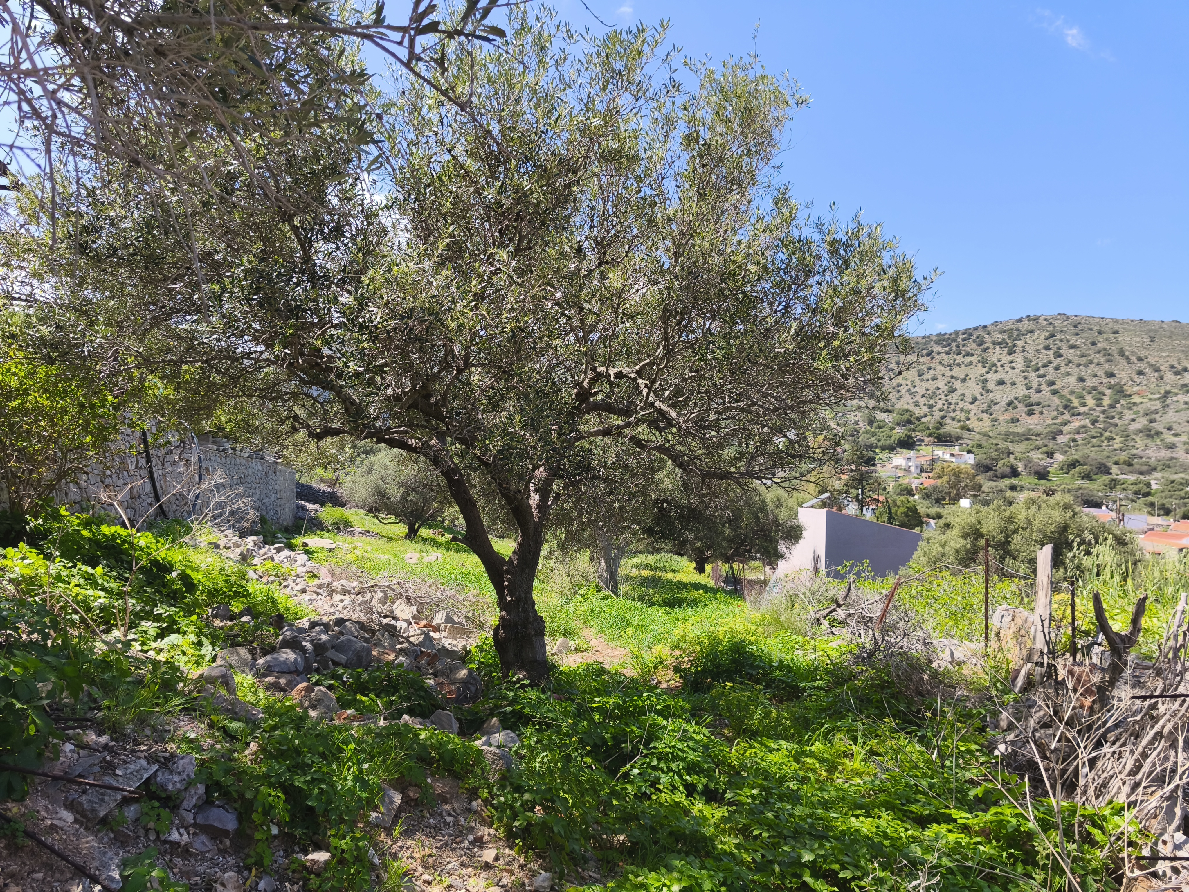 Property 24