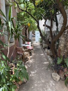 IMG_0625