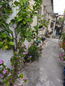 IMG_20250424_175725