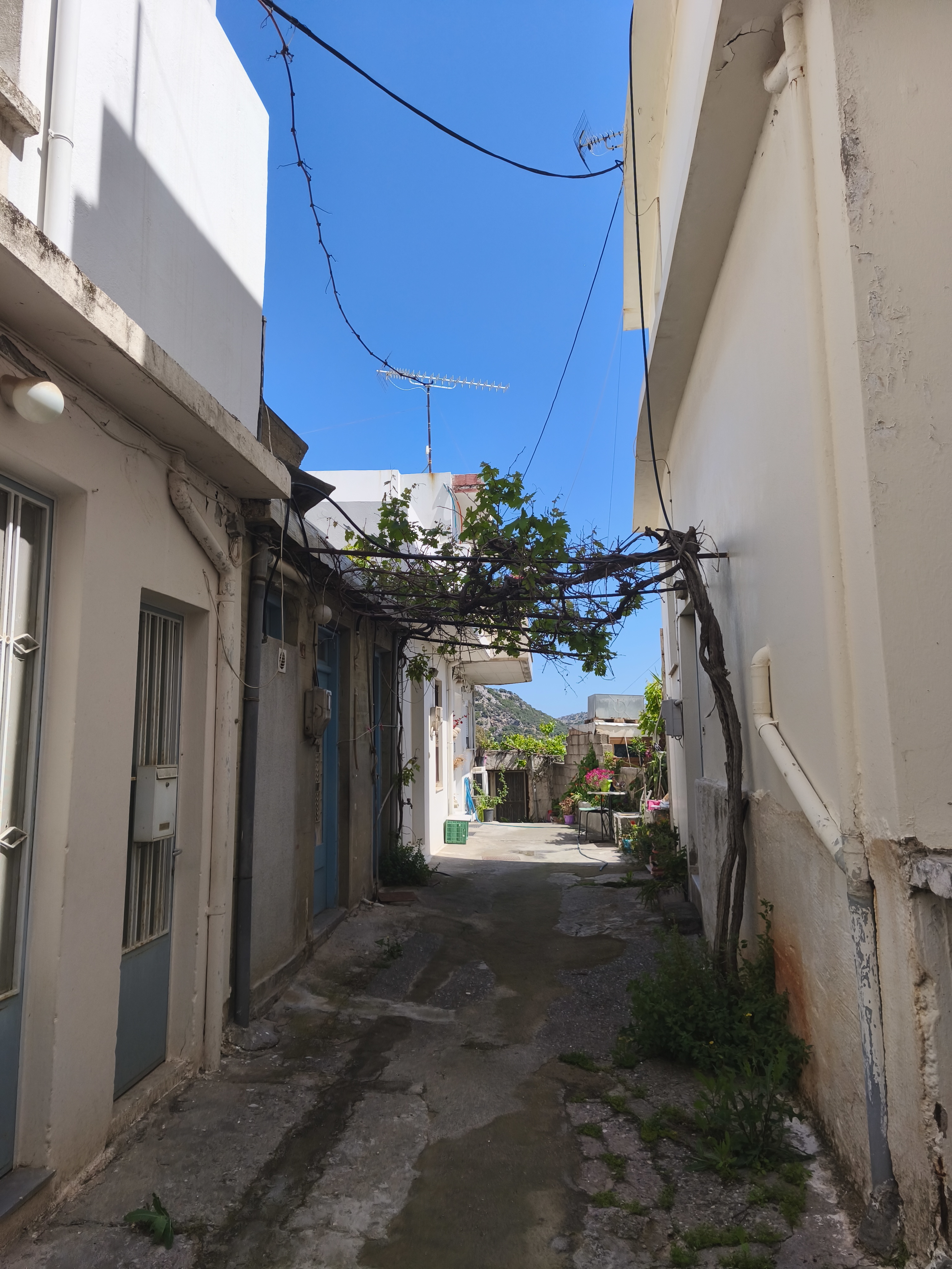 Property 106