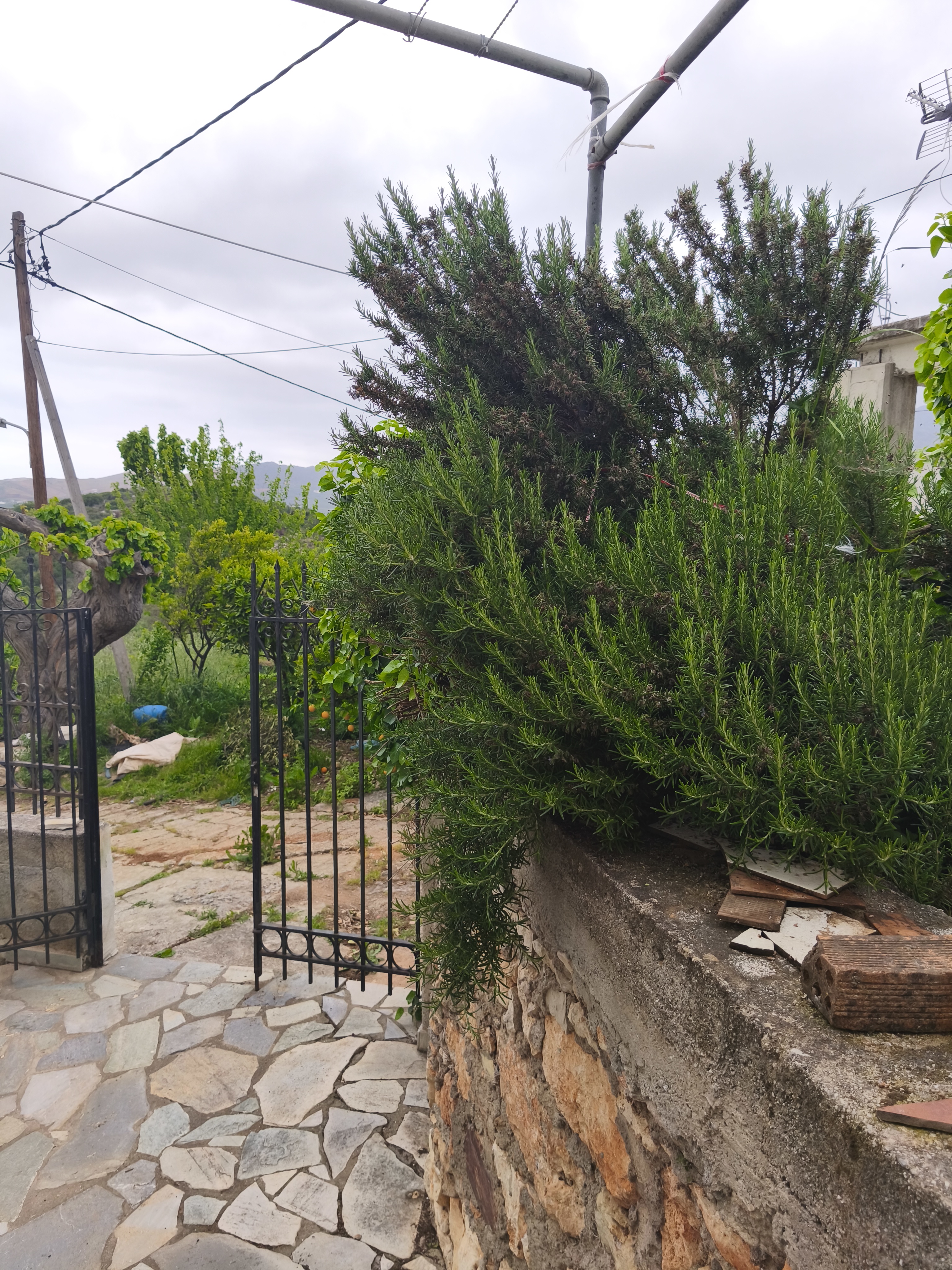 Property 149