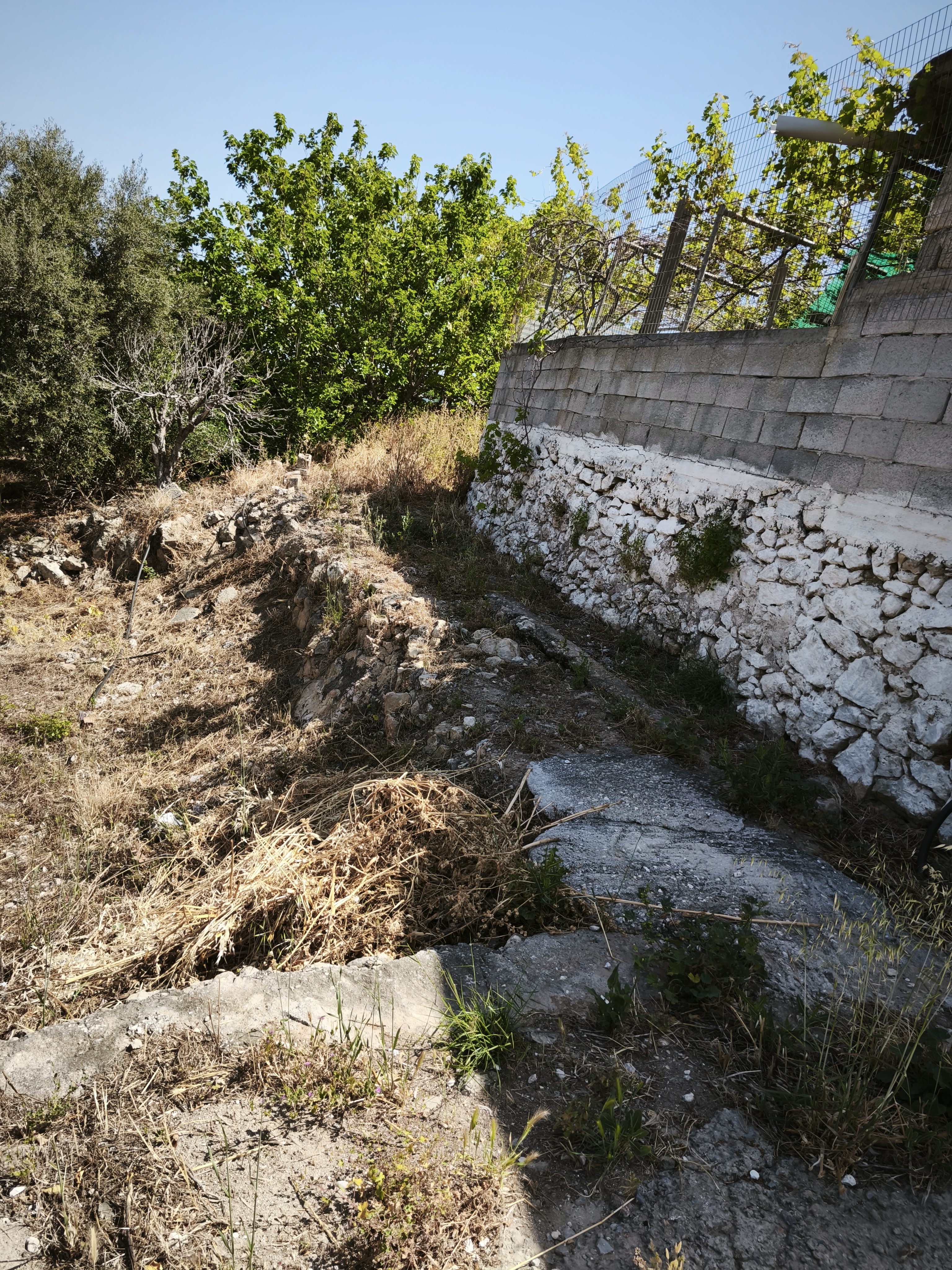 Property 21