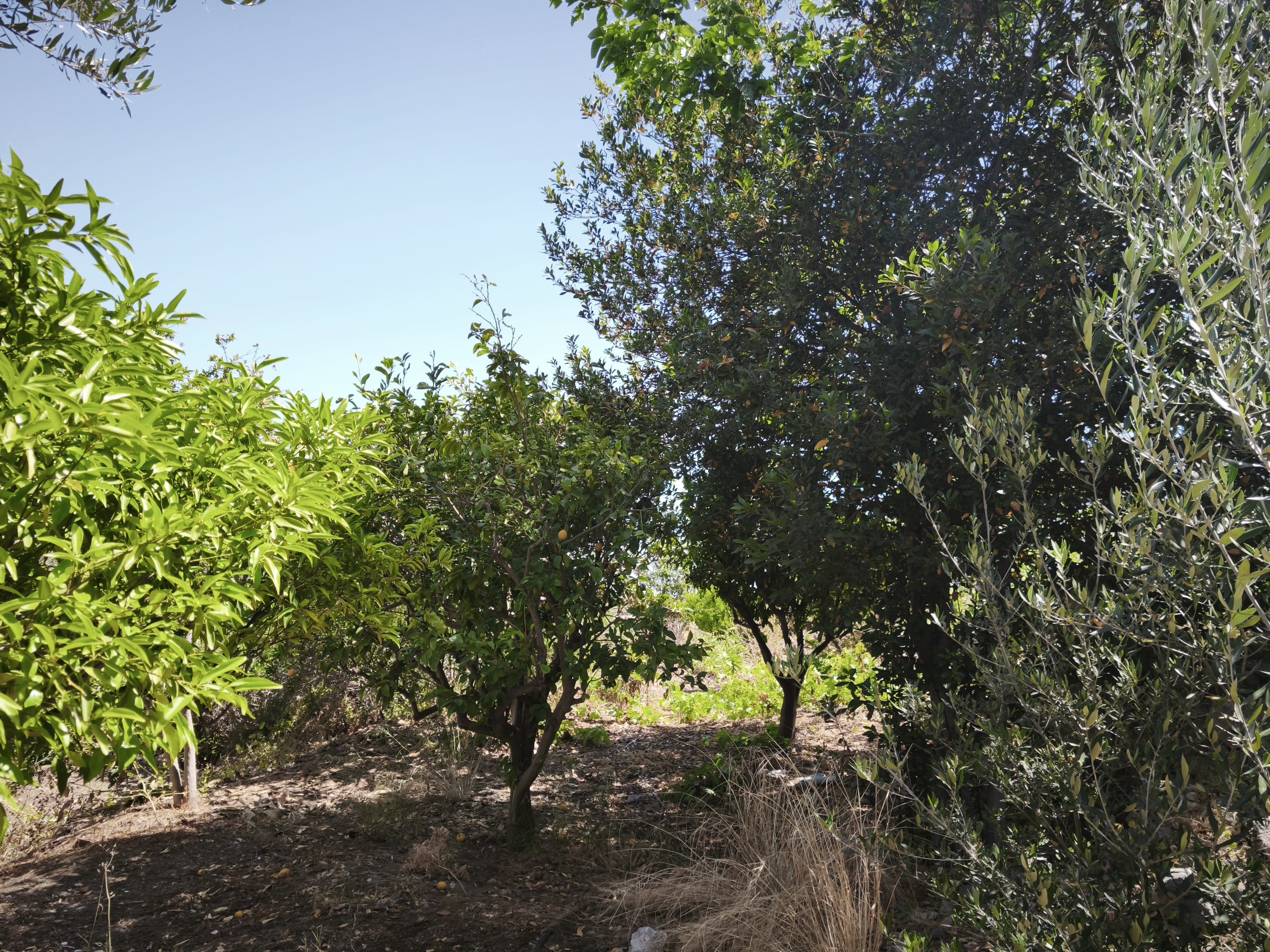 Property 34