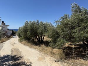 IMG_0826