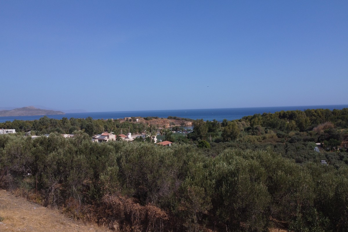Plot-For-Sale-in-Chrysi-Akti-1