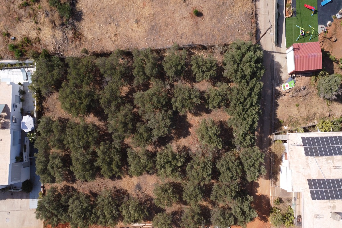 Plot-For-Sale-in-Chrysi-Akti-11