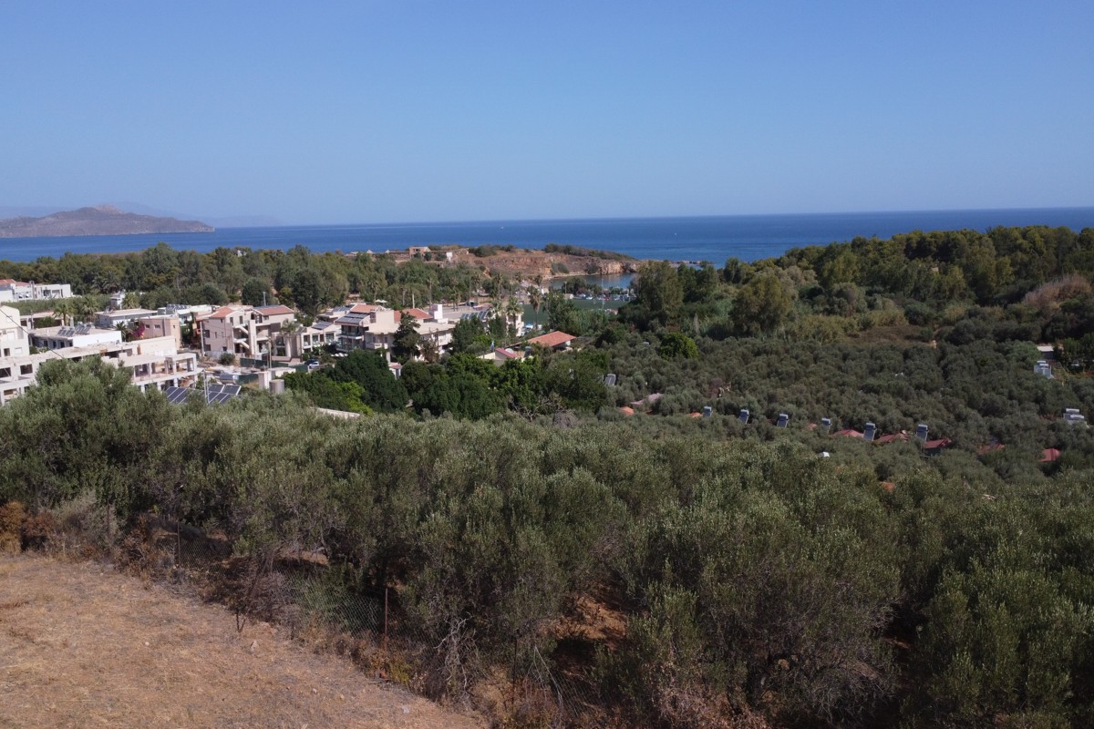 Plot-For-Sale-in-Chrysi-Akti-18