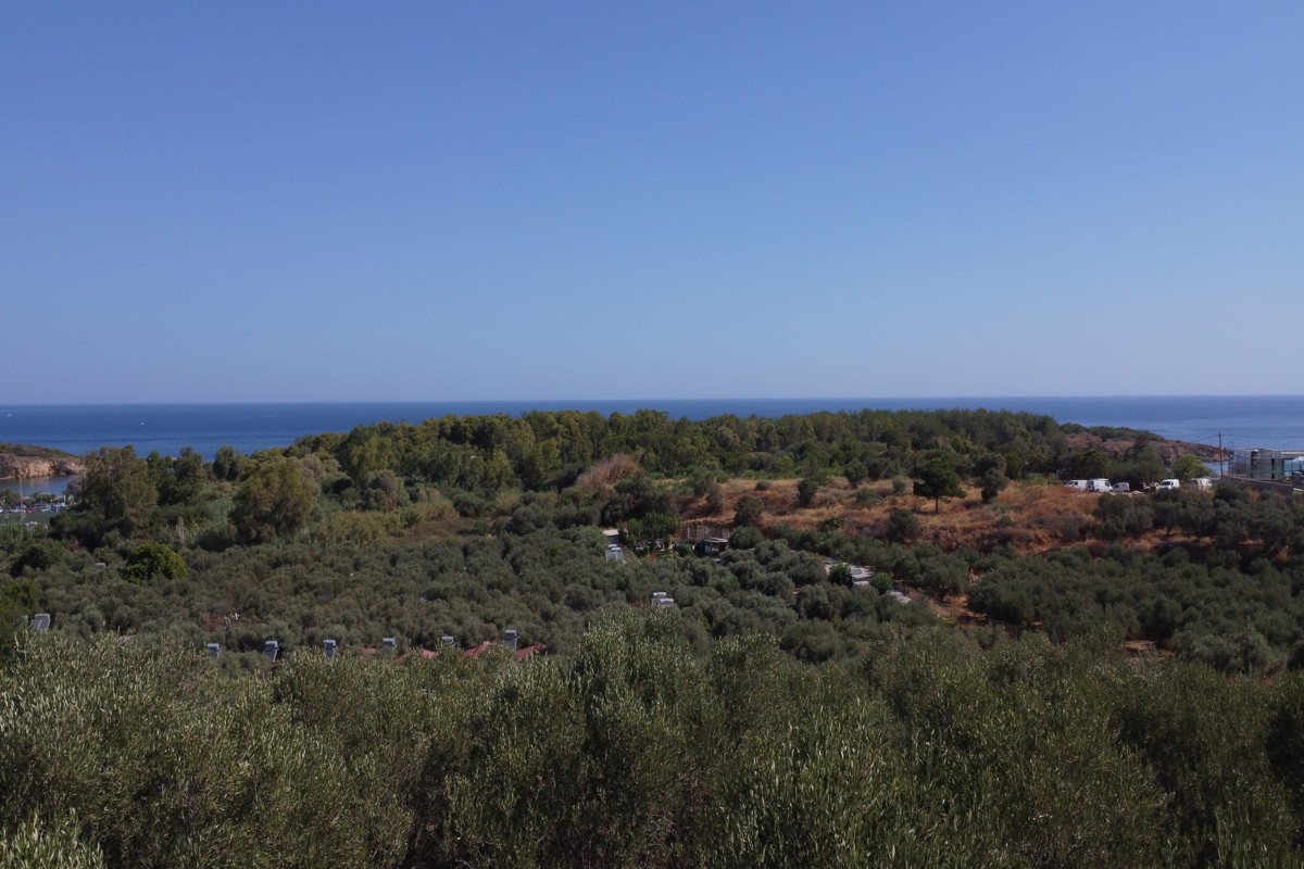 Plot-For-Sale-in-Chrysi-Akti-6