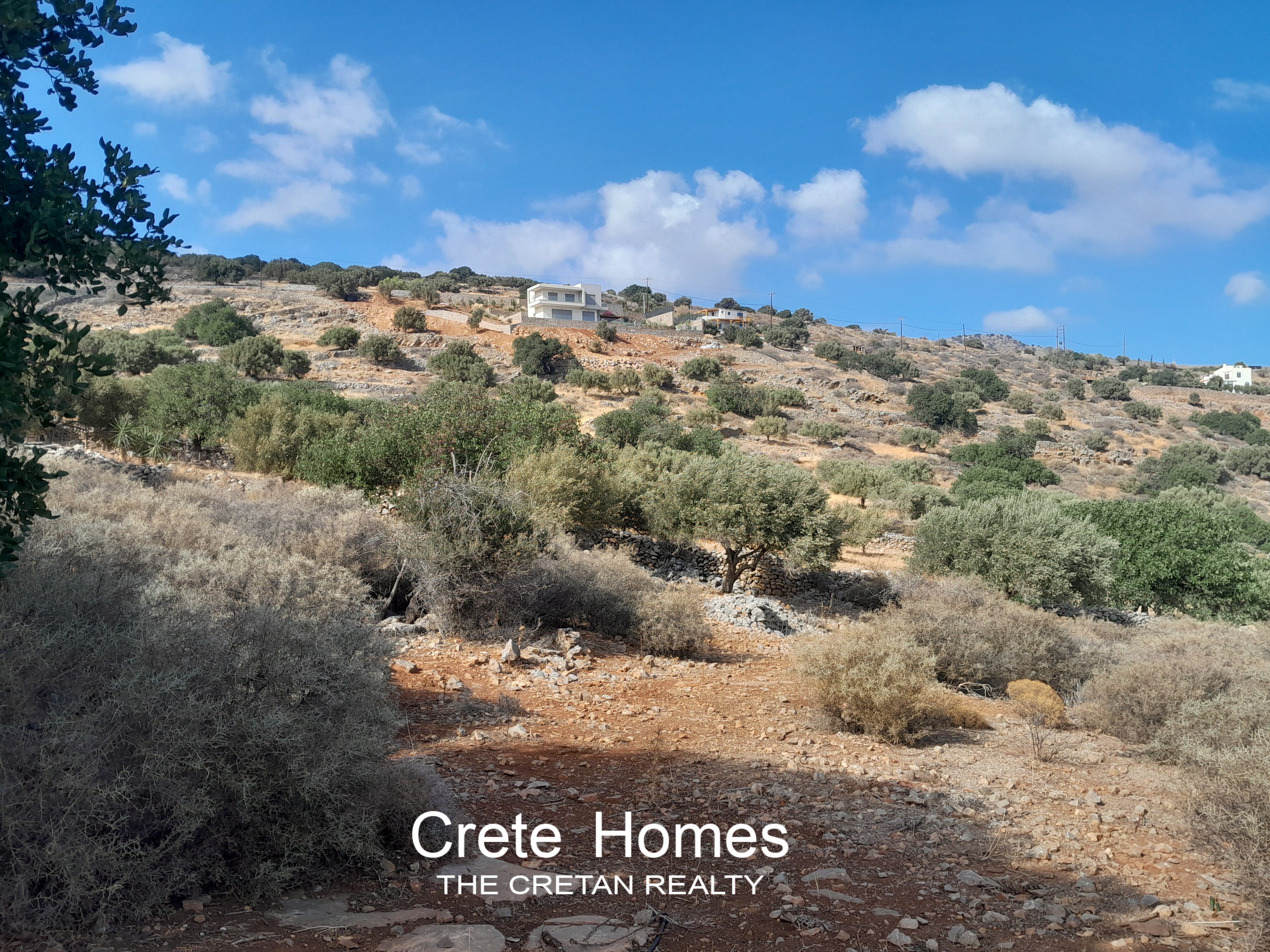 Property 20