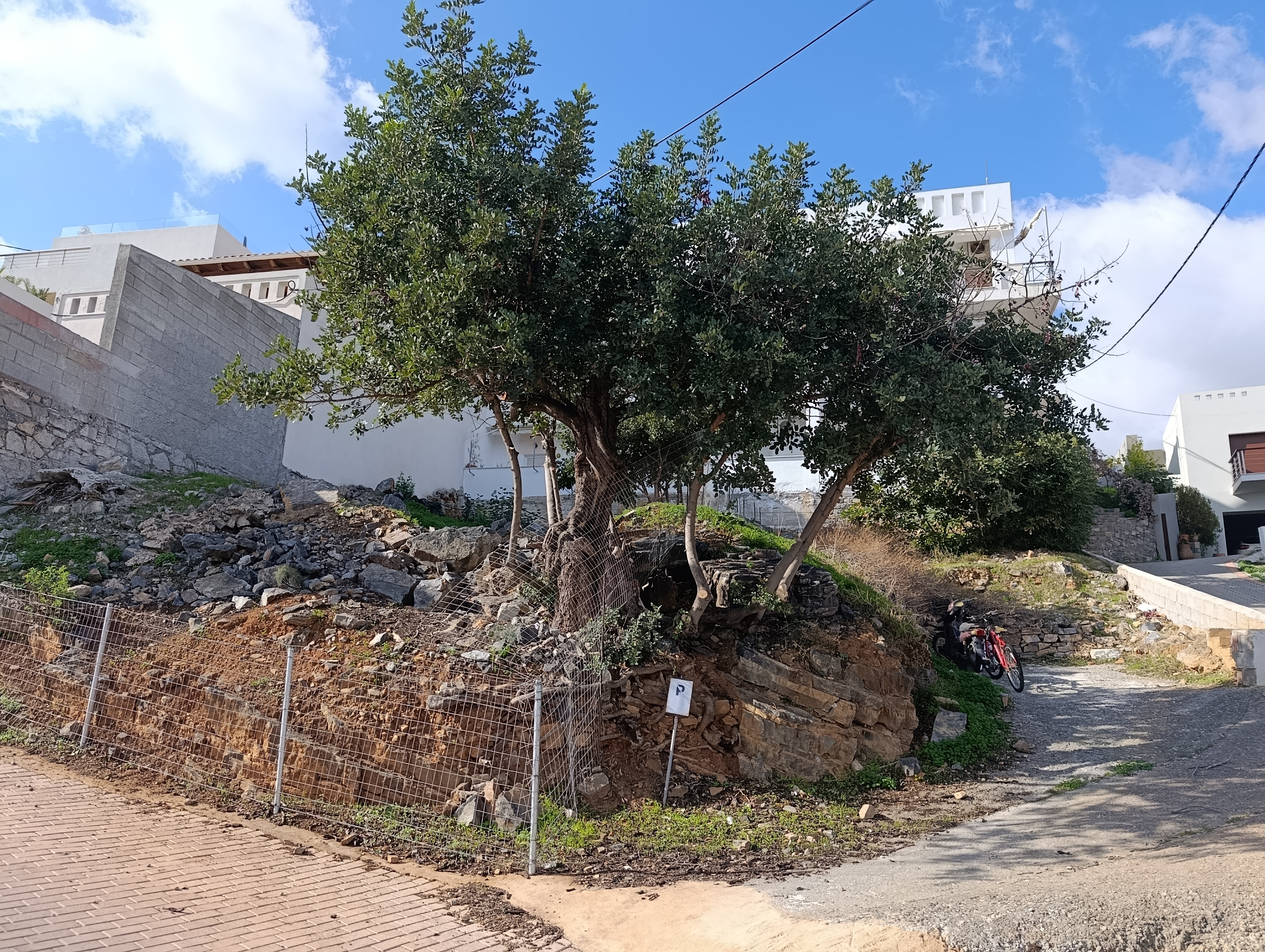 Propriedade 14