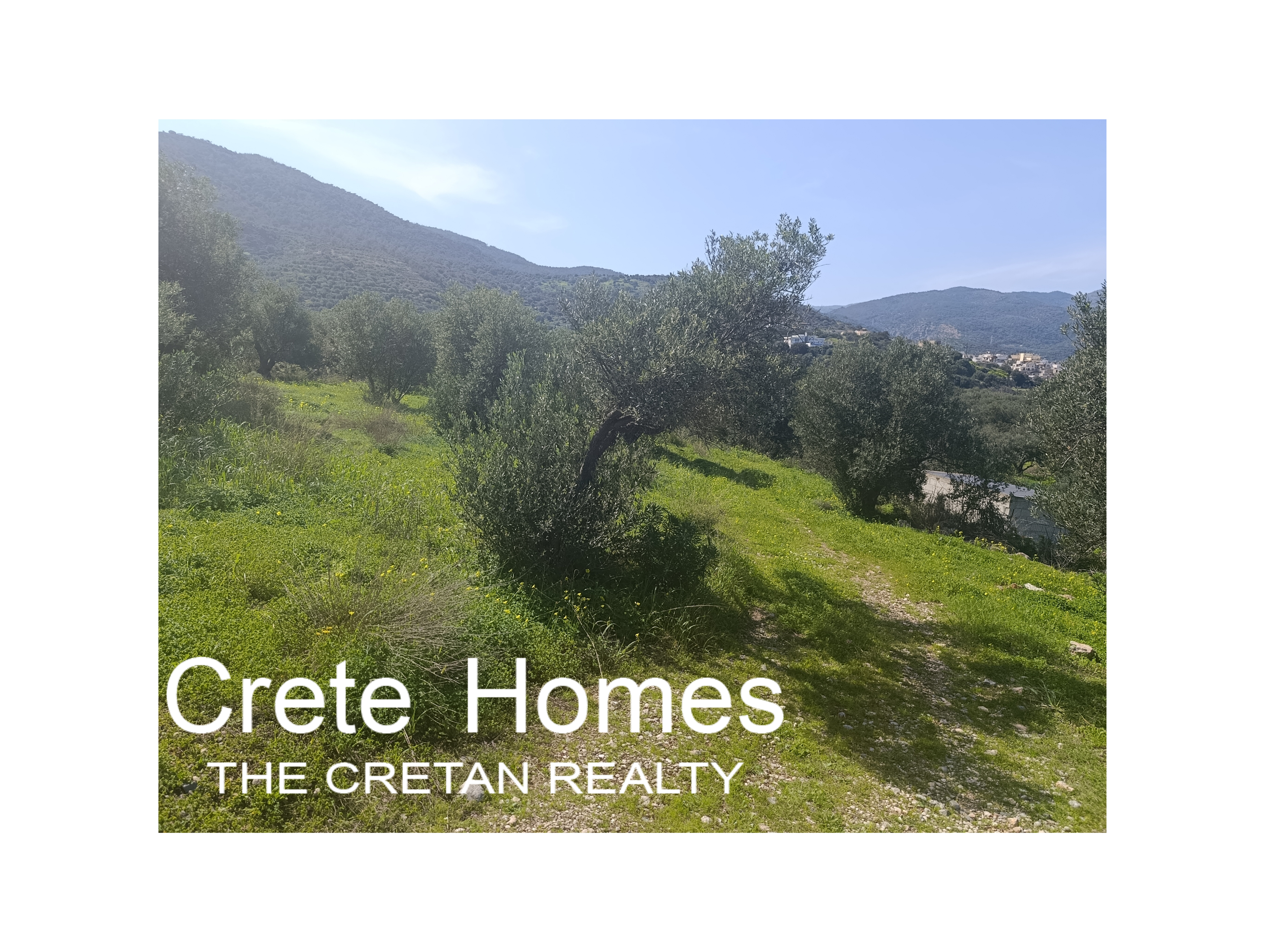 Property 24