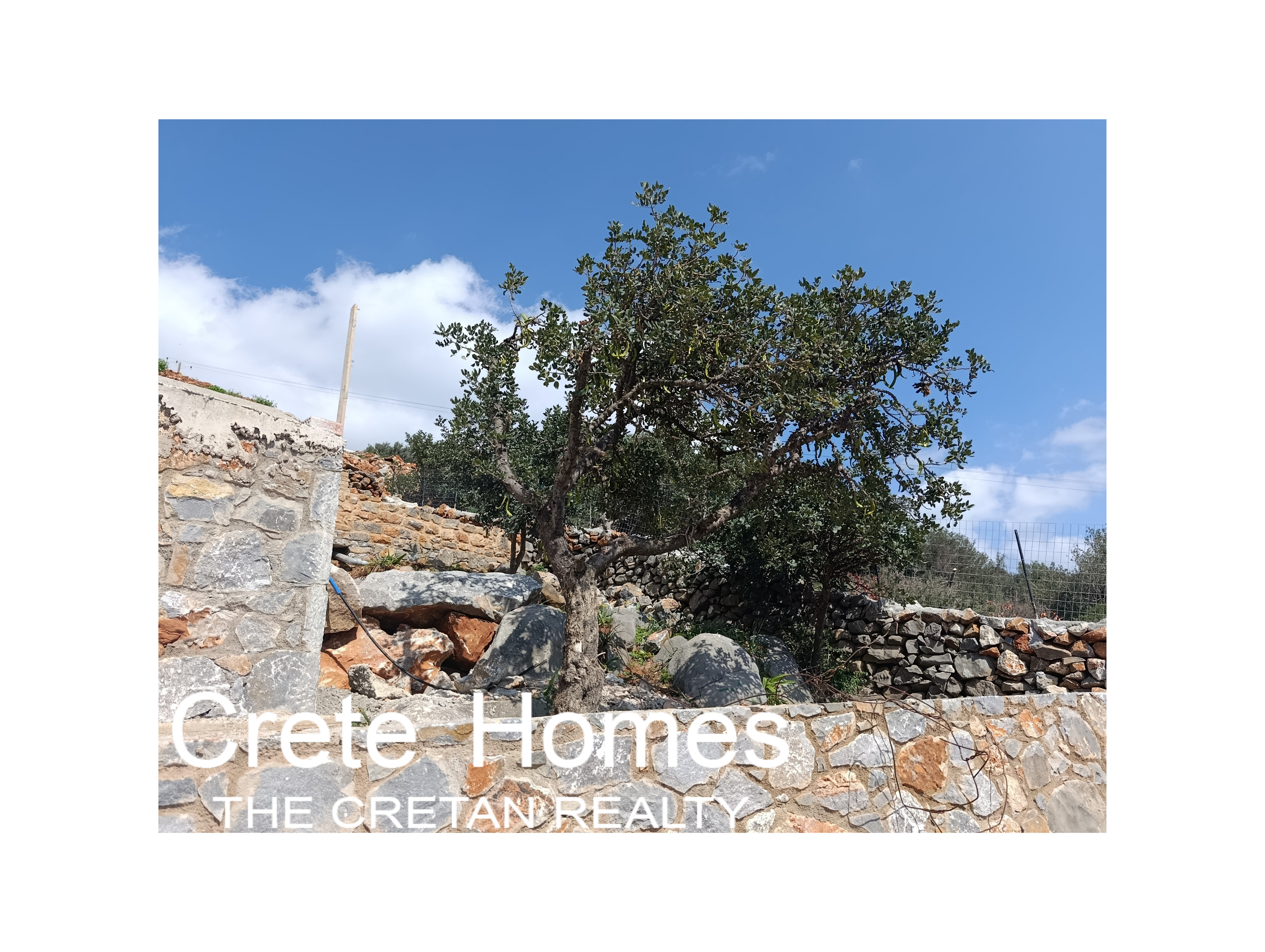 Property 26