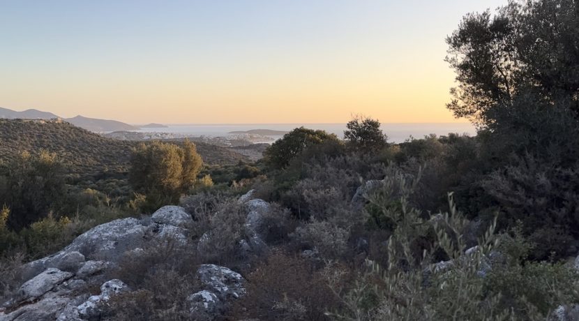 PLMAR9-photo-1-830x460