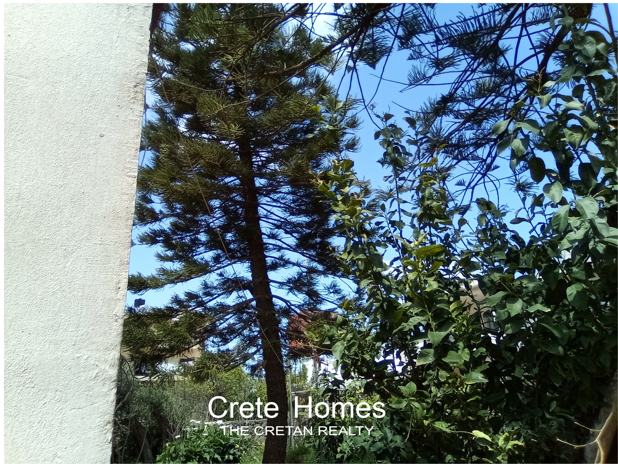 Property 46