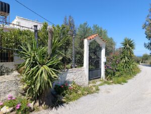 IMG_20260429_114710