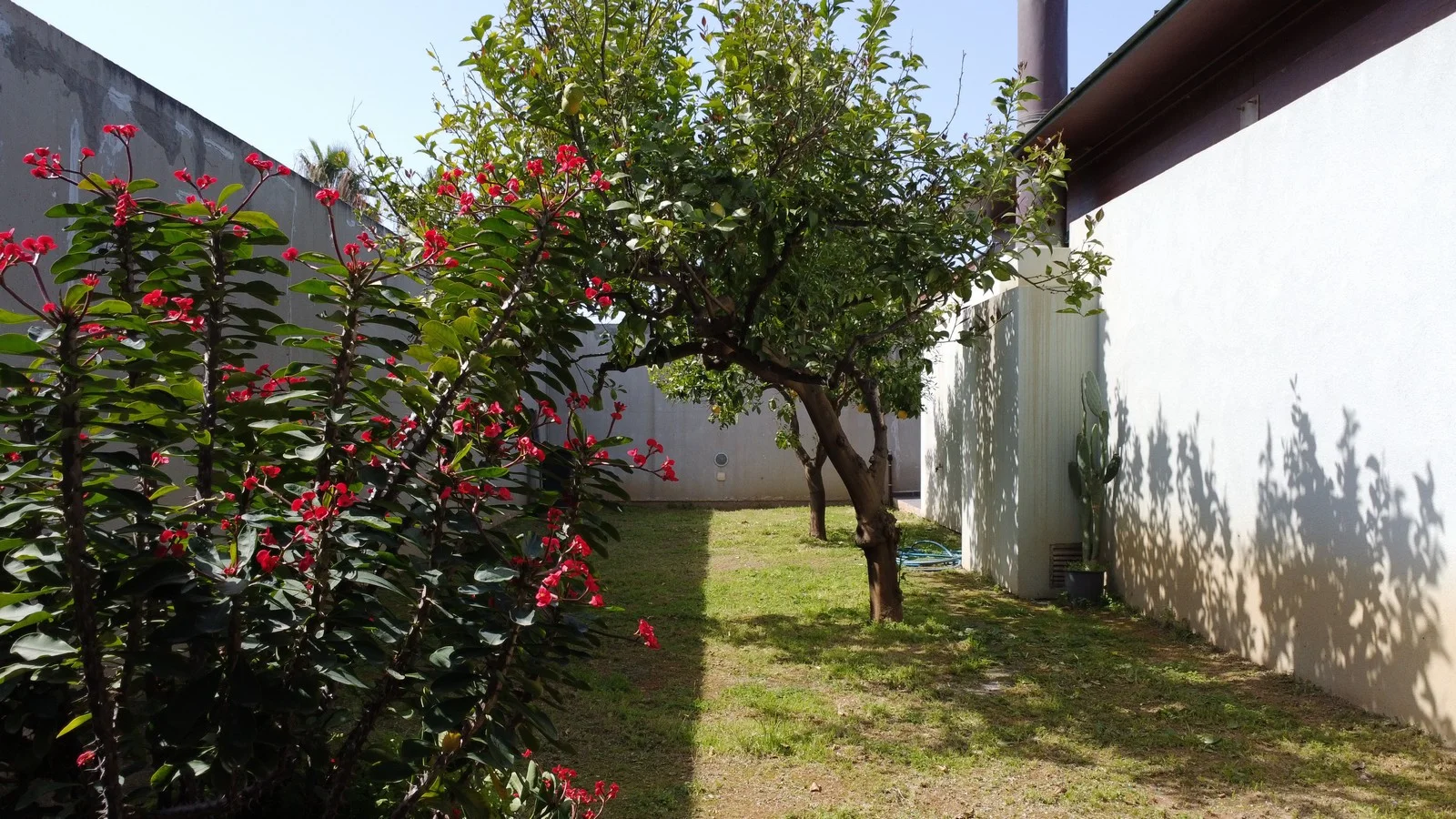 luxury-seaview-villa-by-the-beach-for-sale_6