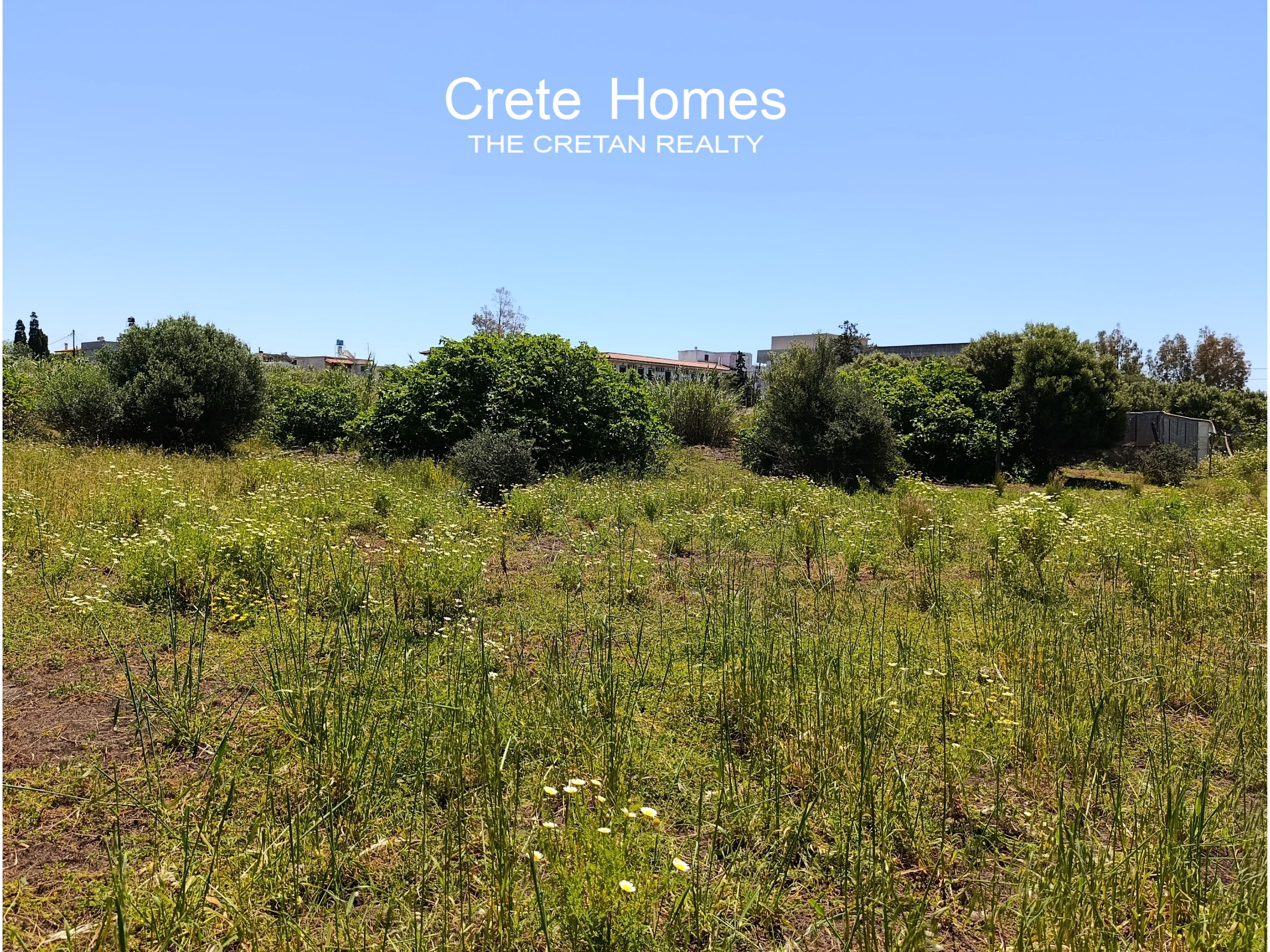 Property 4