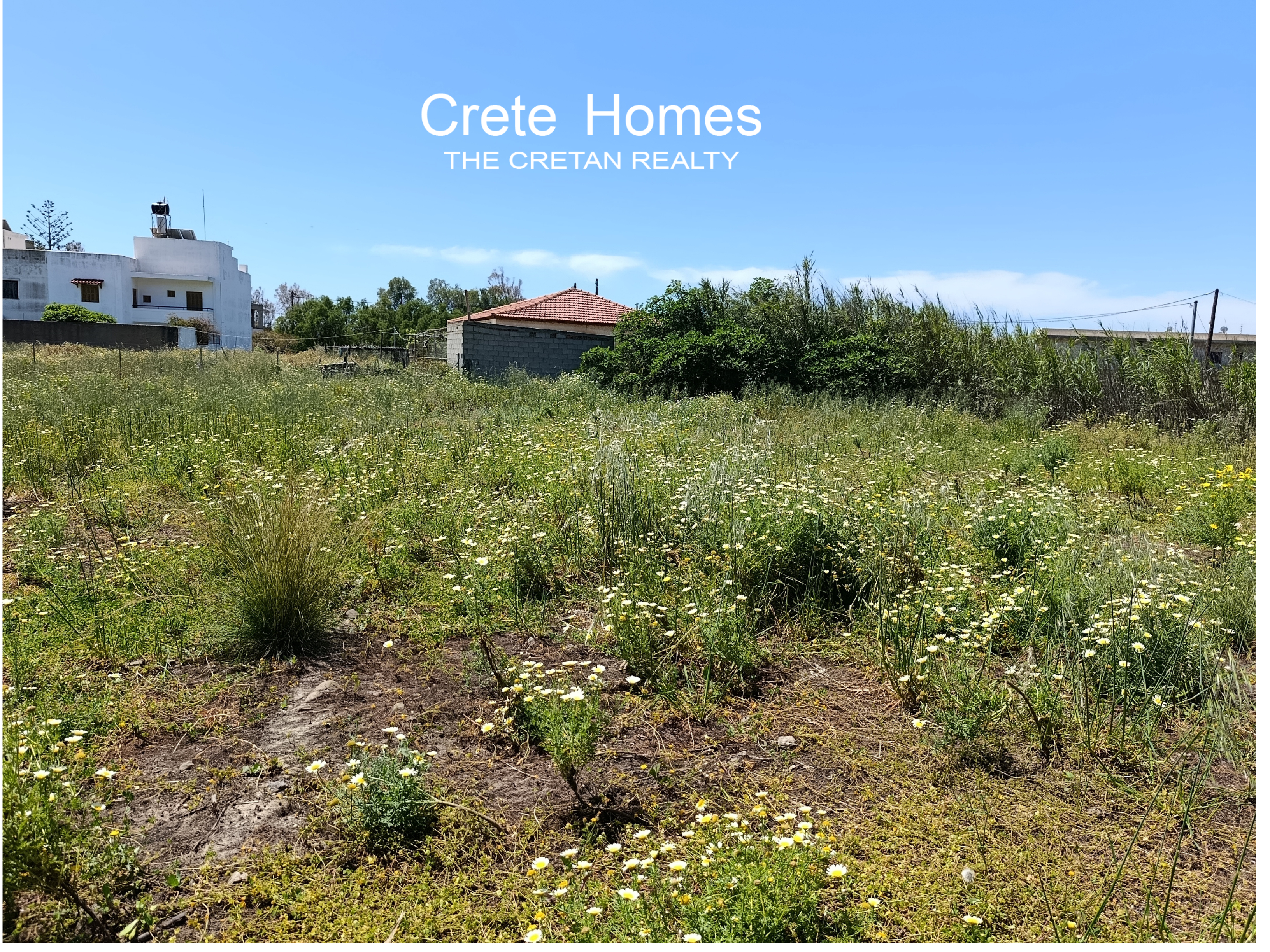 Property 6