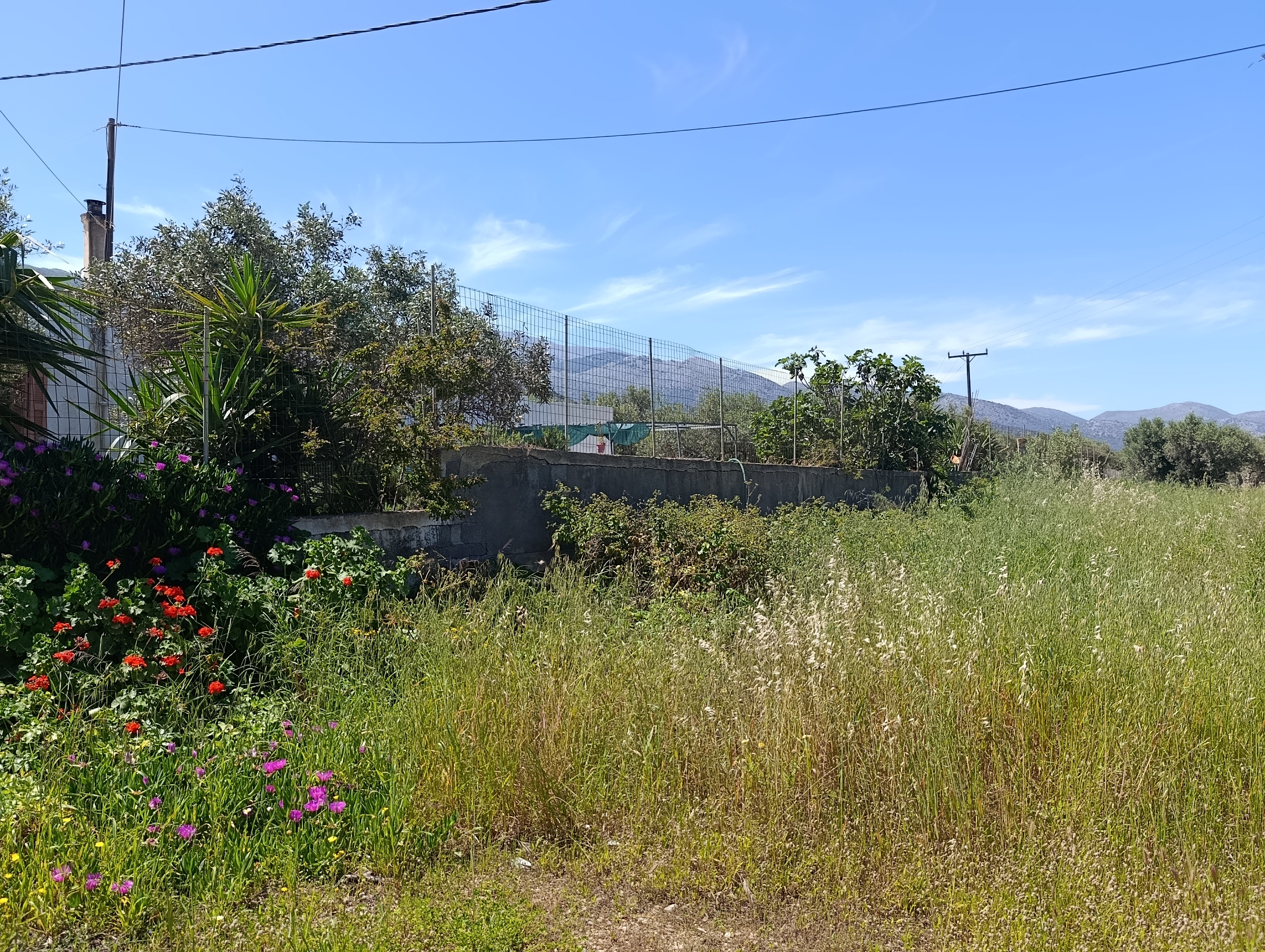 Property 4