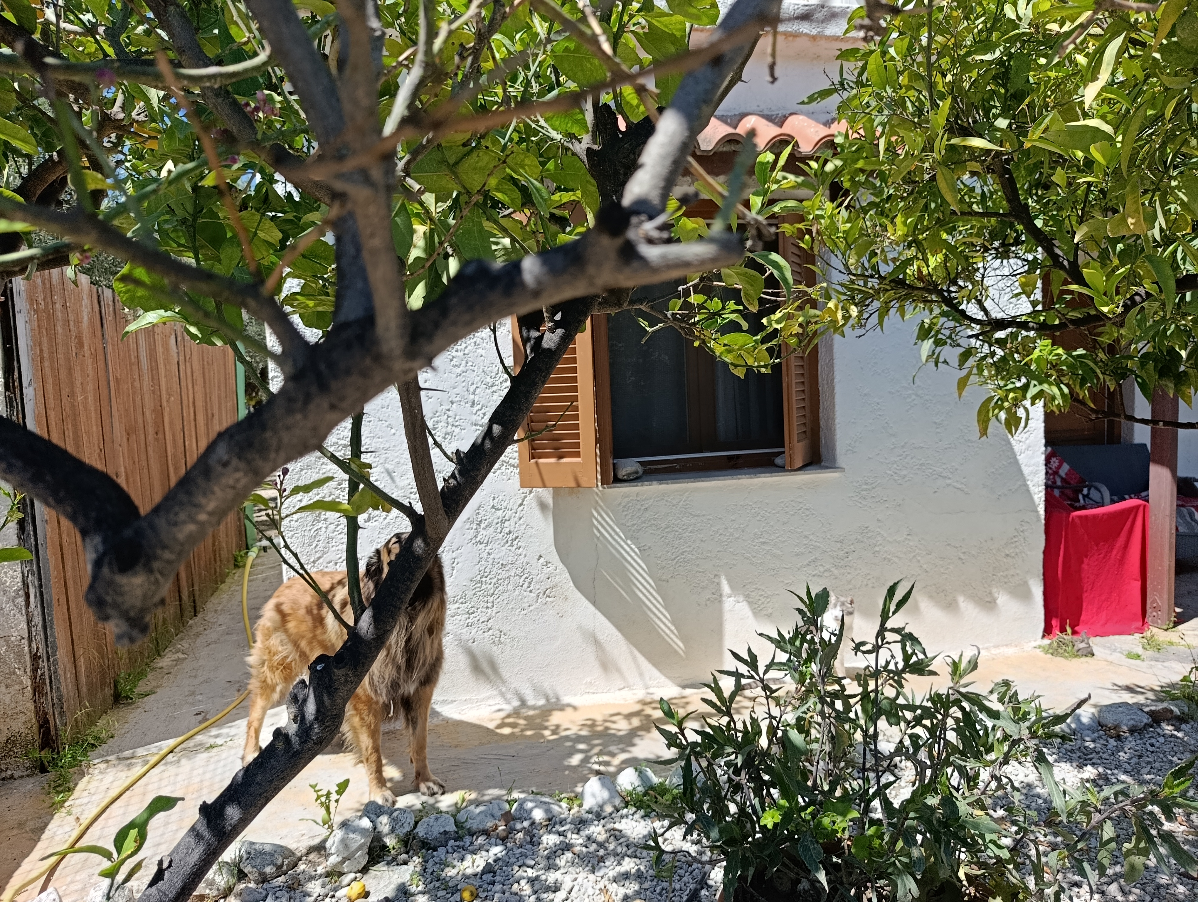 Property 31