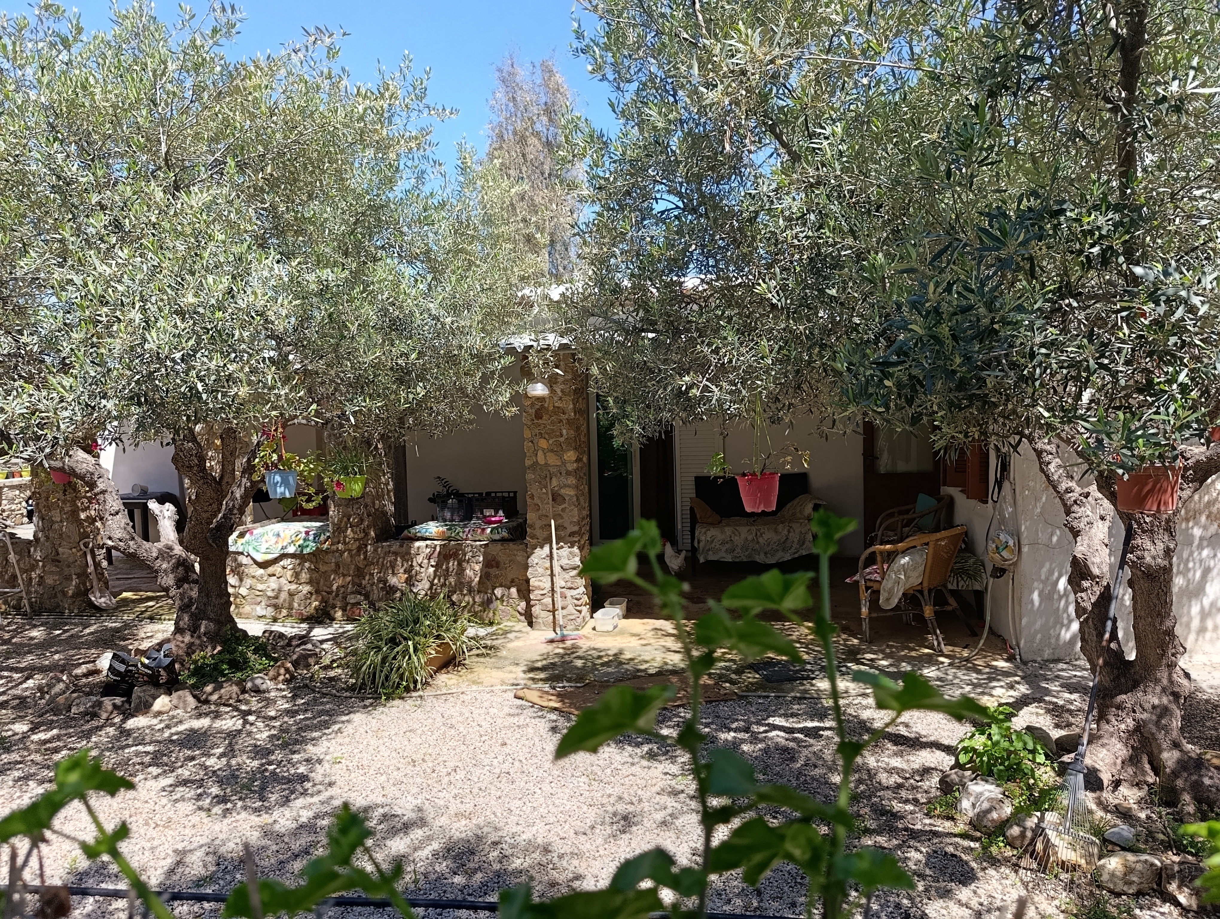 Property 33