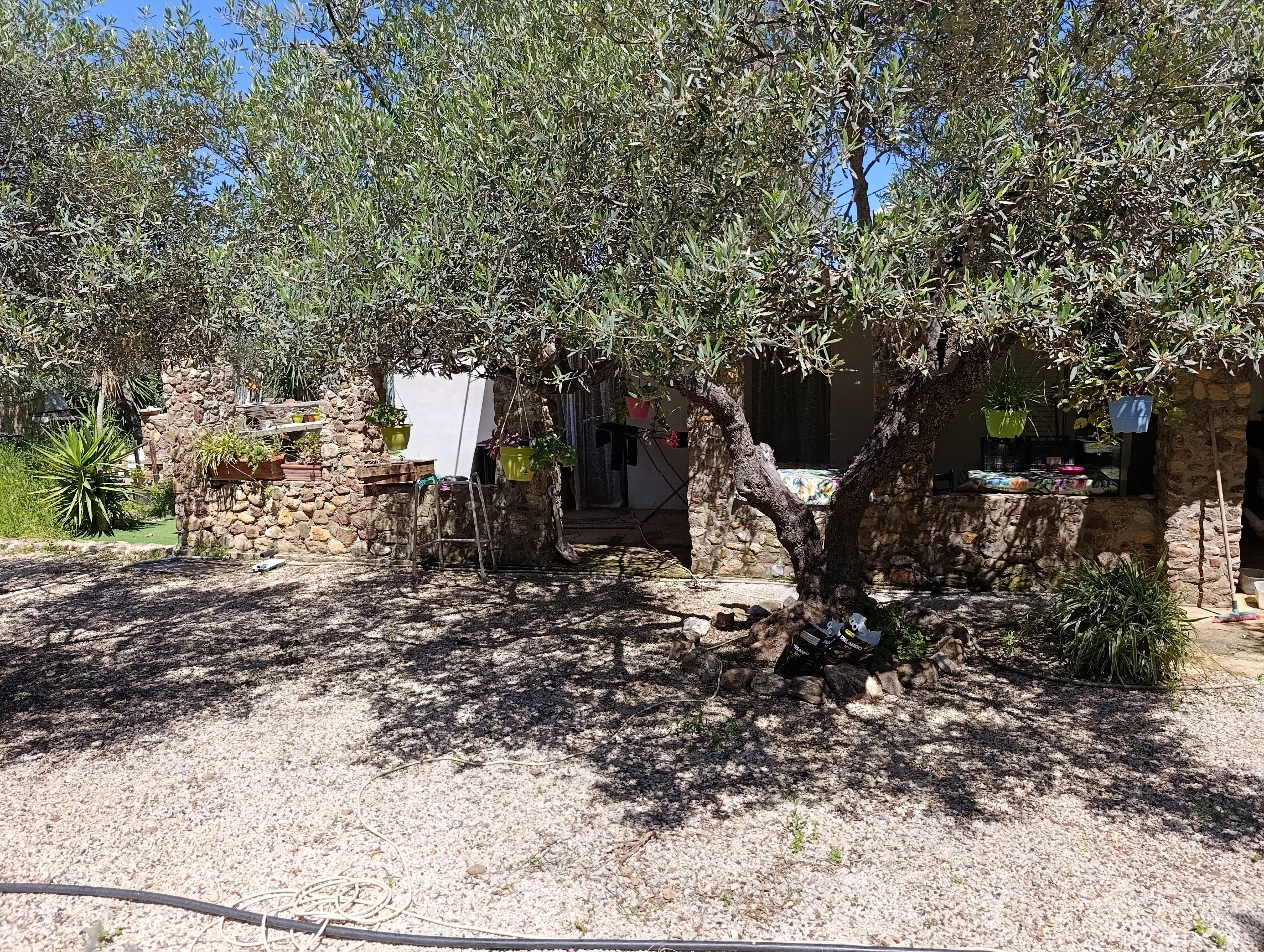 Property 34