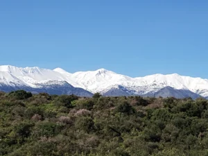 View-to-White-Mountains