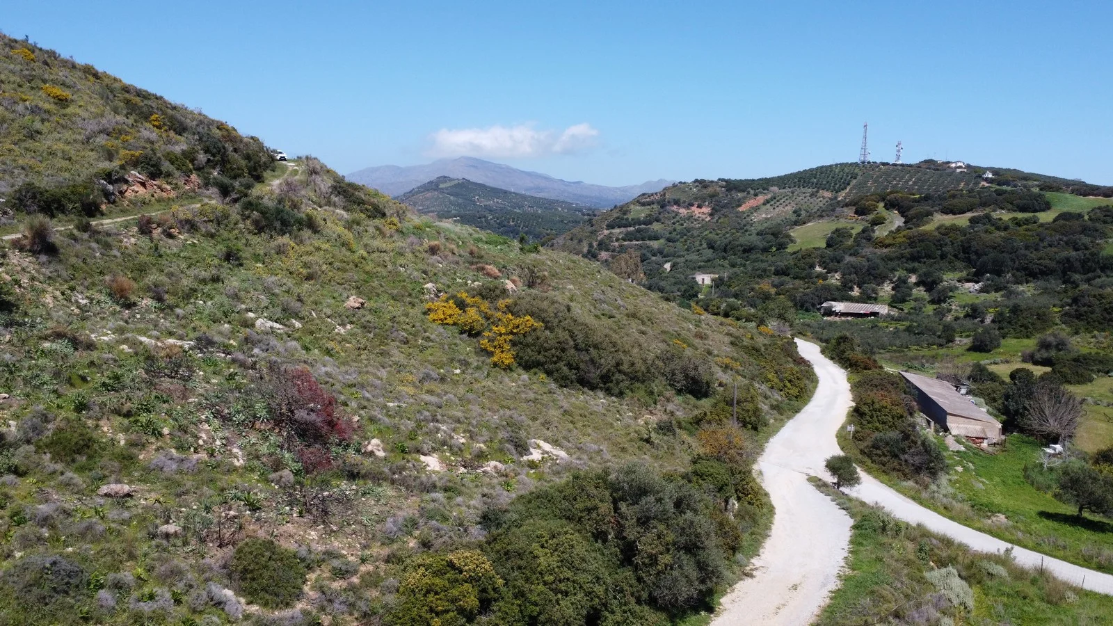 plot-for-sale-plakalona_23