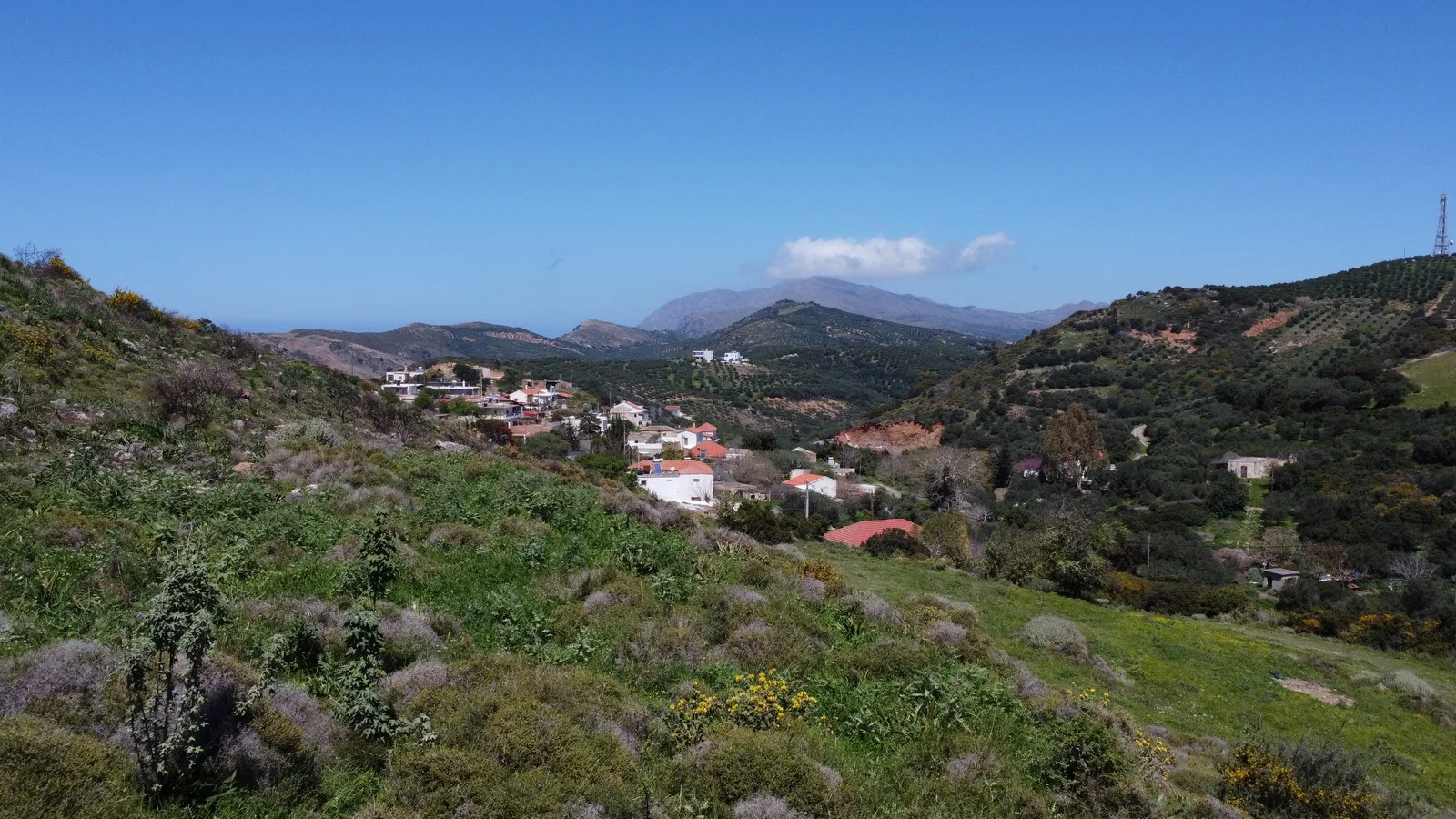 plot-for-sale-plakalona_26