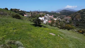 plot-for-sale-plakalona_30