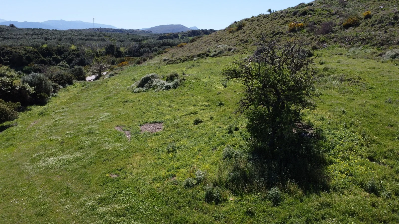 plot-for-sale-plakalona_31