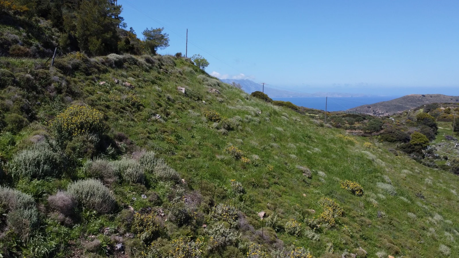 plot-for-sale-plakalona_32