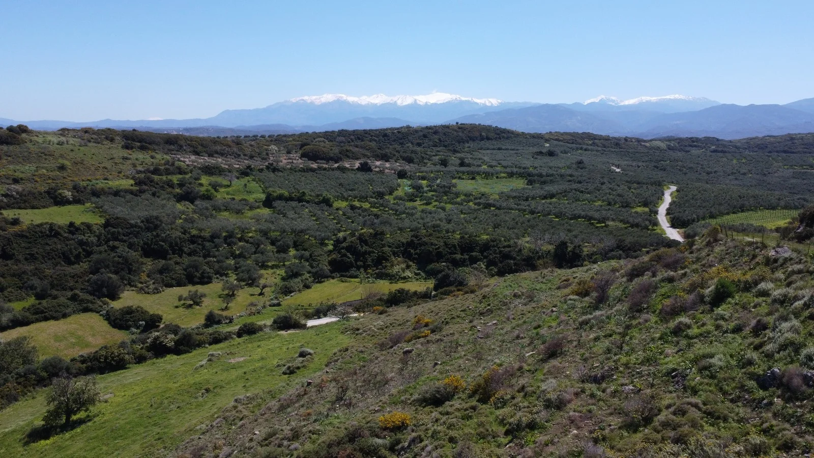 plot-for-sale-plakalona_7