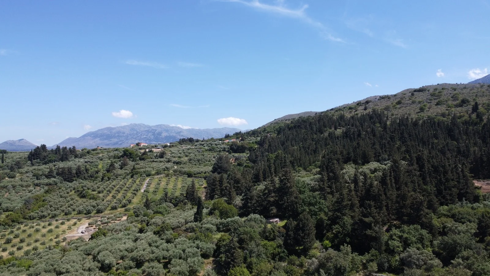 property-for-sale-in-pemonia