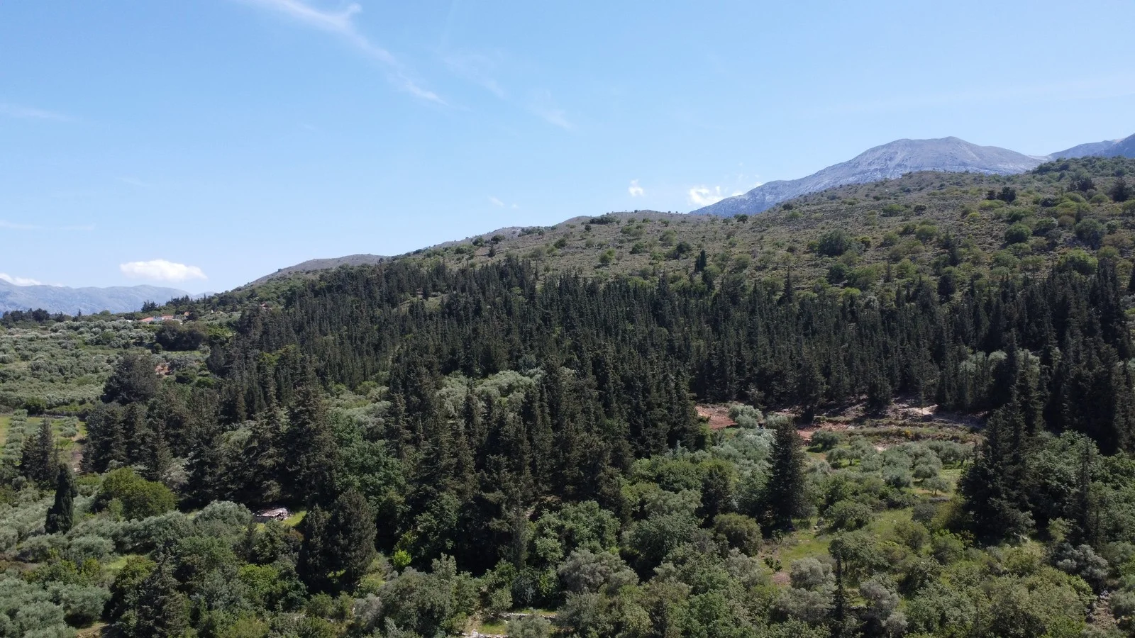 property-for-sale-in-pemonia_2