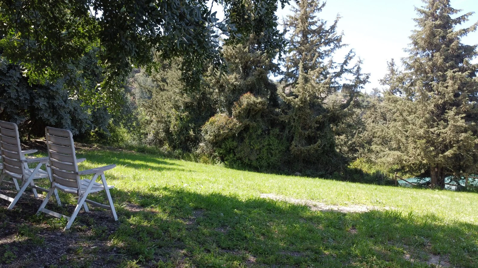 property-for-sale-in-pemonia_62
