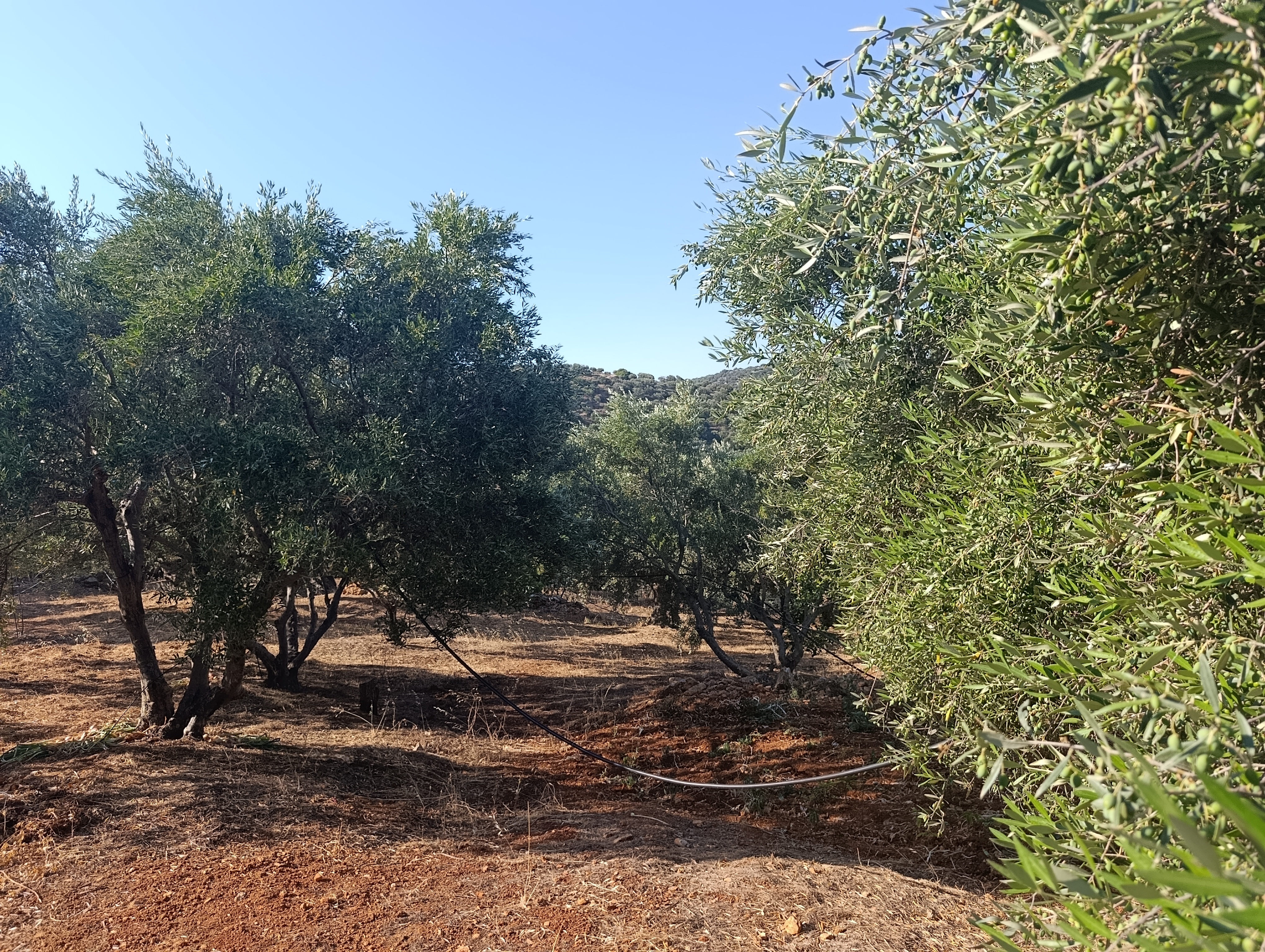 slider-listing