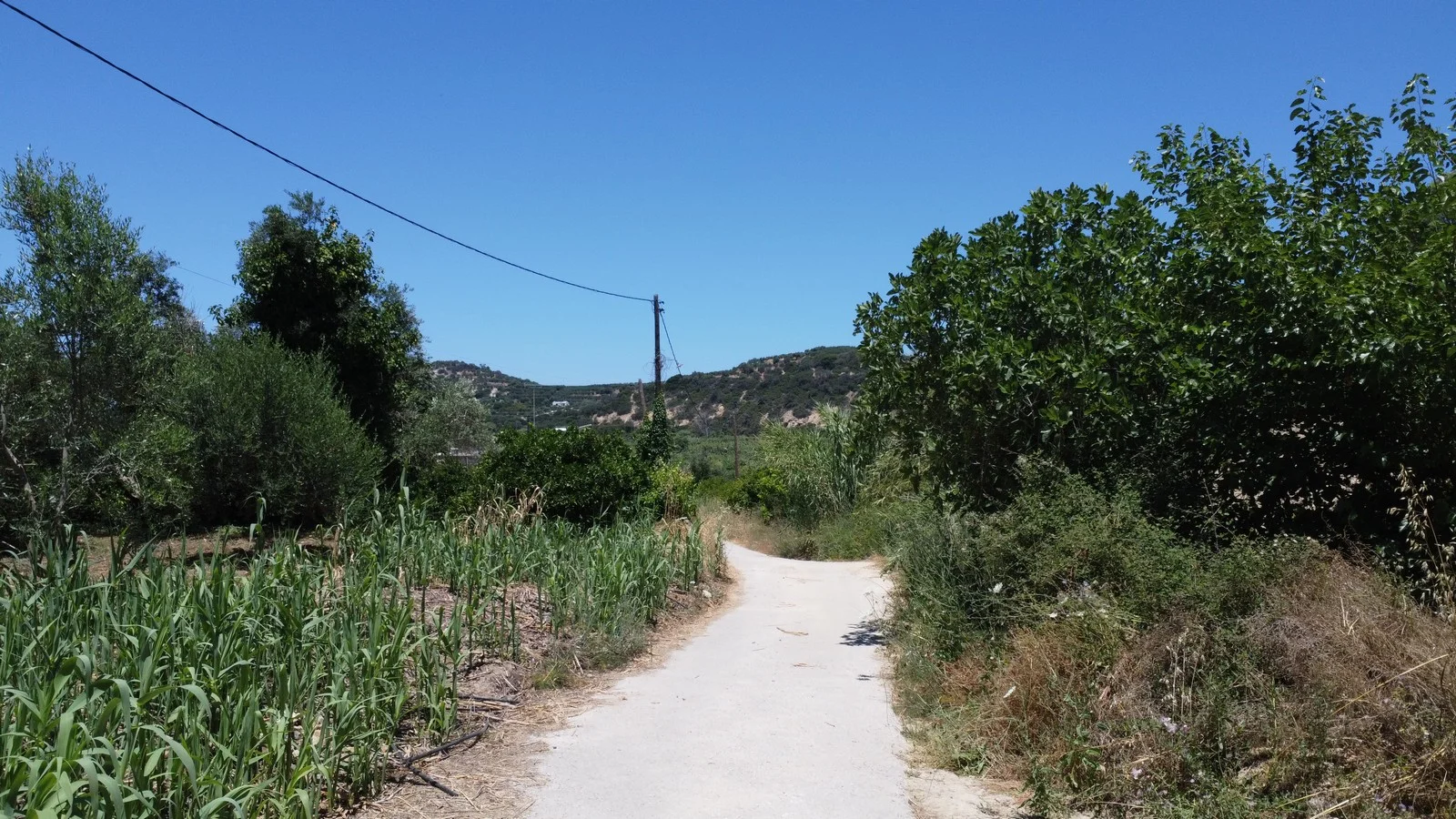 plot-for-sale-in-gerani